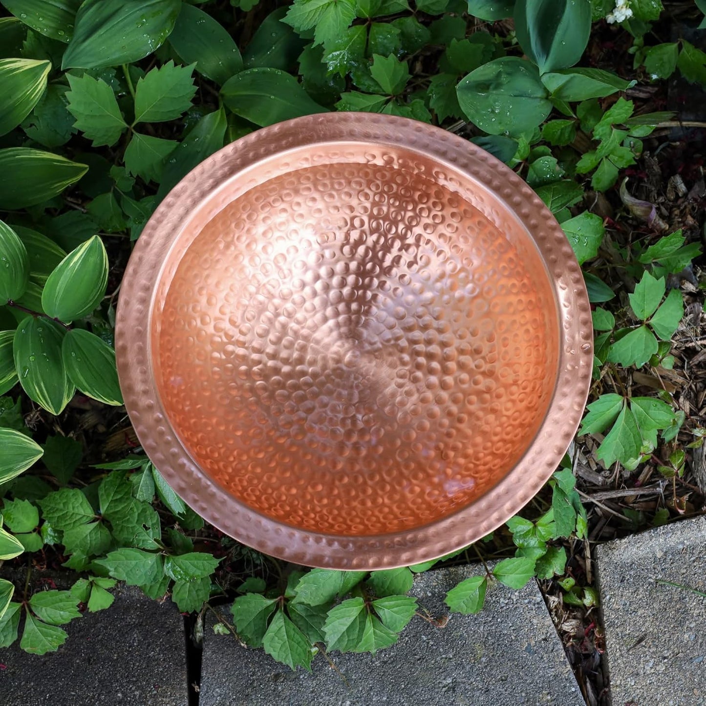 Achla Designs 201-4016 Hammered Solid Tripod Stand Birdbath, Satin Cop