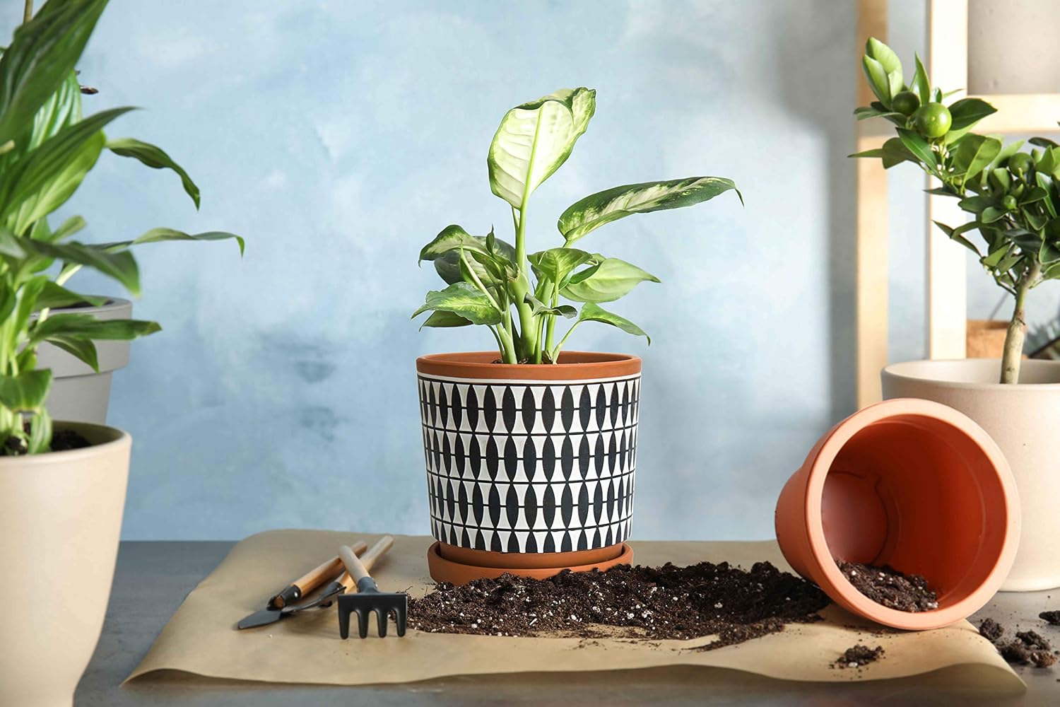 D'vine Dev Set of 2 Terracotta Pots, 4 Inch and 6 Inch, Planter Pots f