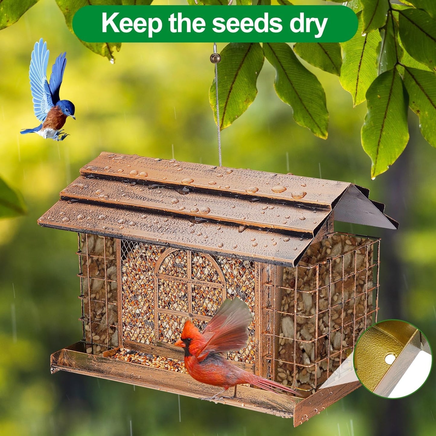 Bird Feeder for Outdoors, Metal Bird Feeder Hanging, 3.8LB Large Capacity with Double Suet Cages, Rainproof Roof, Attracts Cardinals, Finches, Blue Jays, for Backyard & Garden