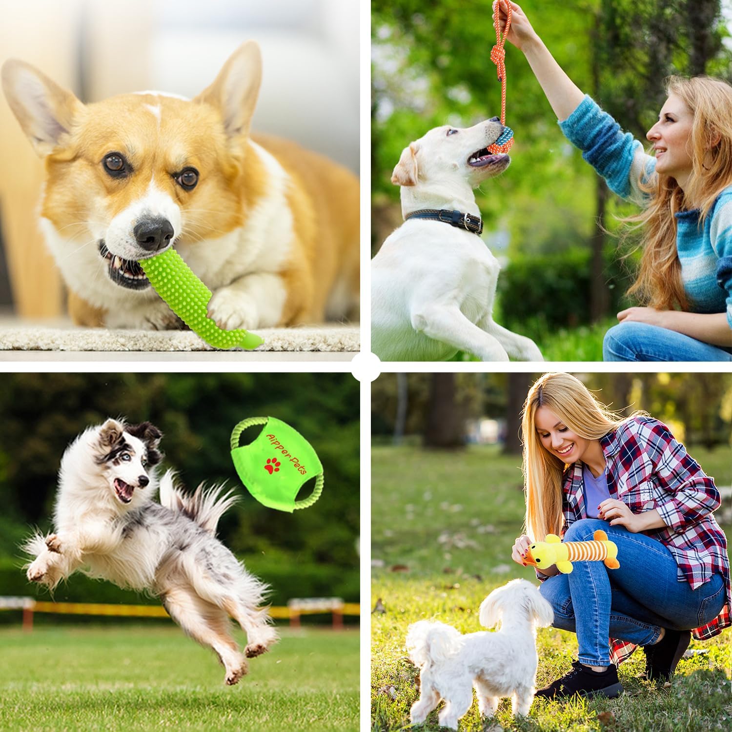 Dog Toys 25 Pack for Fun and Teeth Cleaning, Puppy Chew Toys Pack with