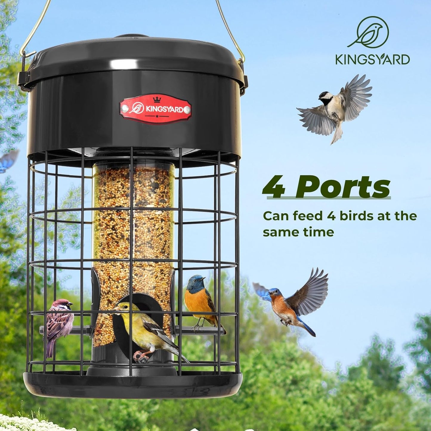 Kingsyard Upgraded Squirrel Proof Caged Bird Feeder for Outdoor Hangin