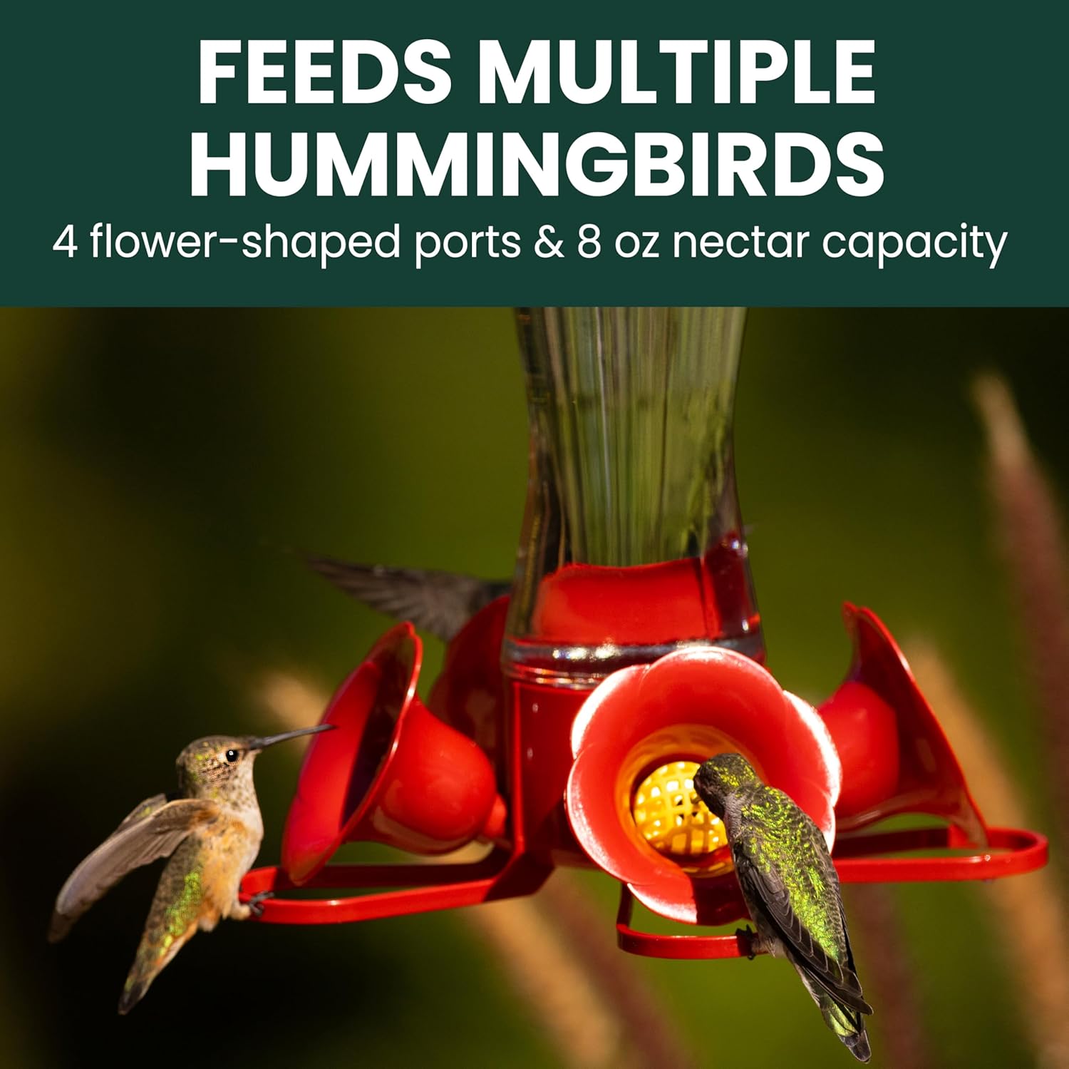 Perky-Pet 203CPBN-2 Glass Hummingbird Feeders for Outdoors with Perche