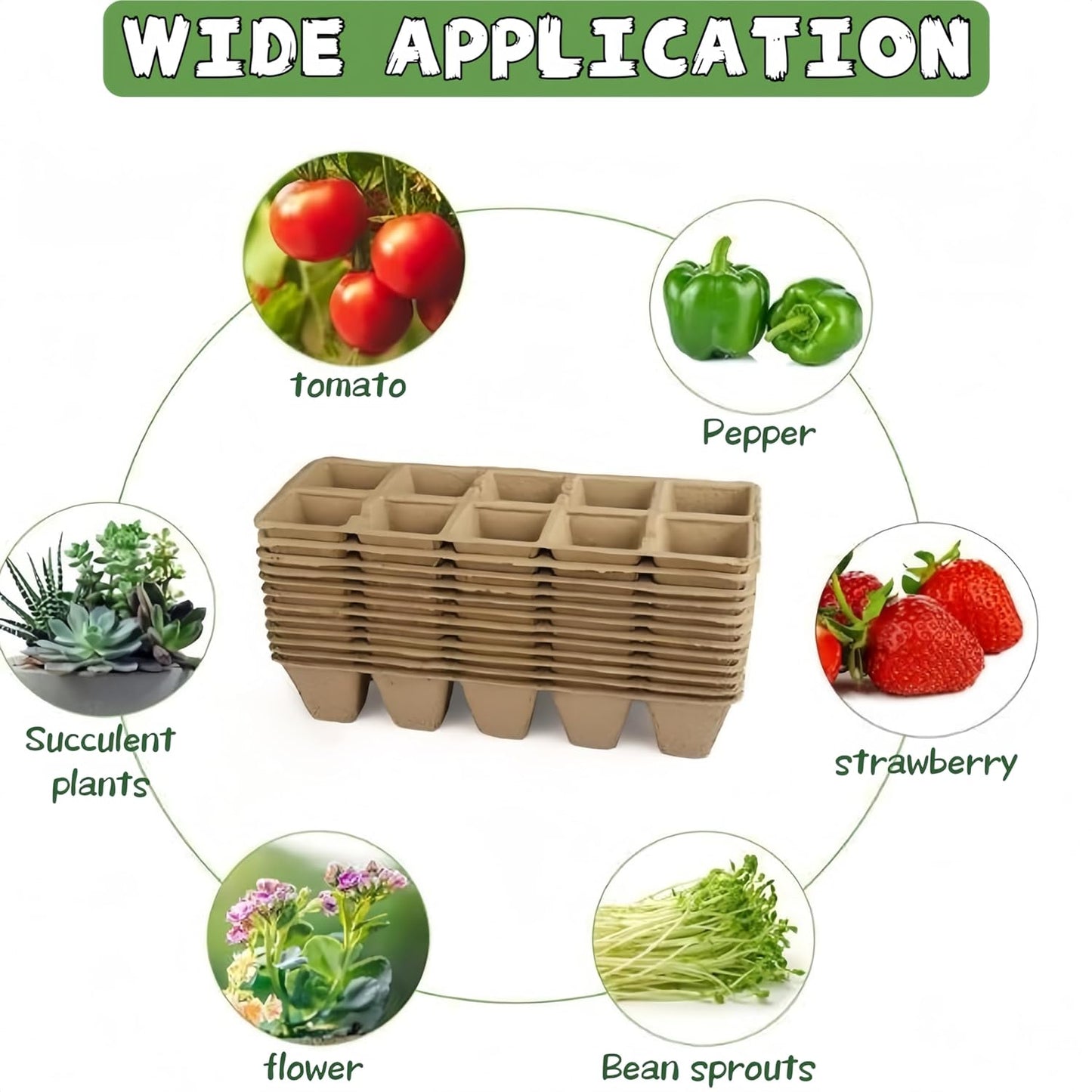 240 Cells Seed Starter Tray 24 Packs Biodegradable Peat Pots Germinati