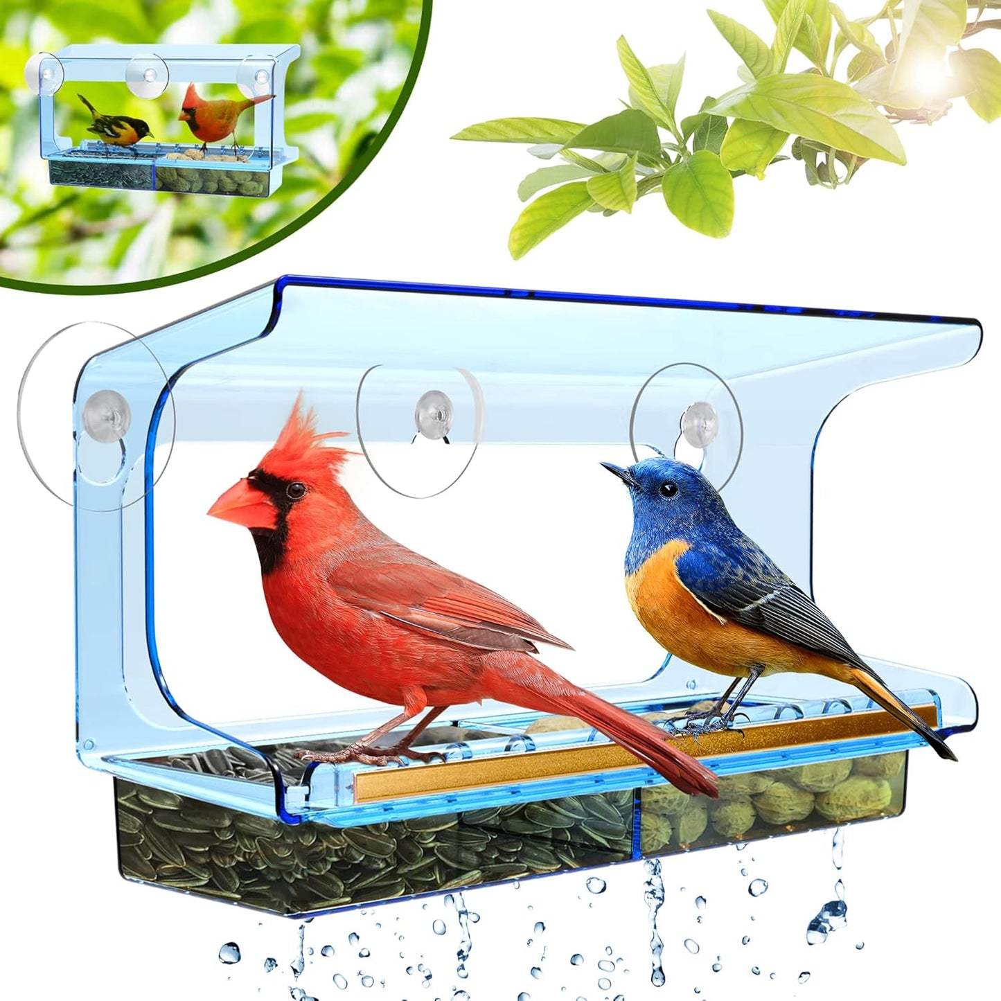 LUJII Blue Window Bird Feeder with 5 Super Strong Suction Cups, All One Piece Construction, Removable Seed Tray, Accommodates Large Birds Like Cardinals or Blue Jay for Outside Wild Bird Feeding