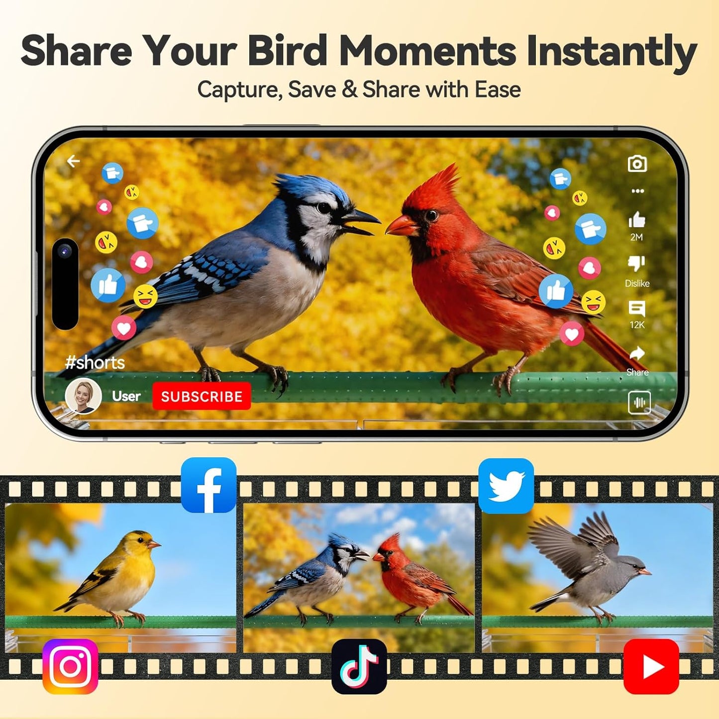Dzees Window Bird Feeder with Camera, 2K HD Live Stream & AI Bird Identification, Smart Bird Feeder for Window Mount, Auto-Capture, 2.4GHz WiFi, Strong Suction Cup Installation, Gift for Bird Lovers