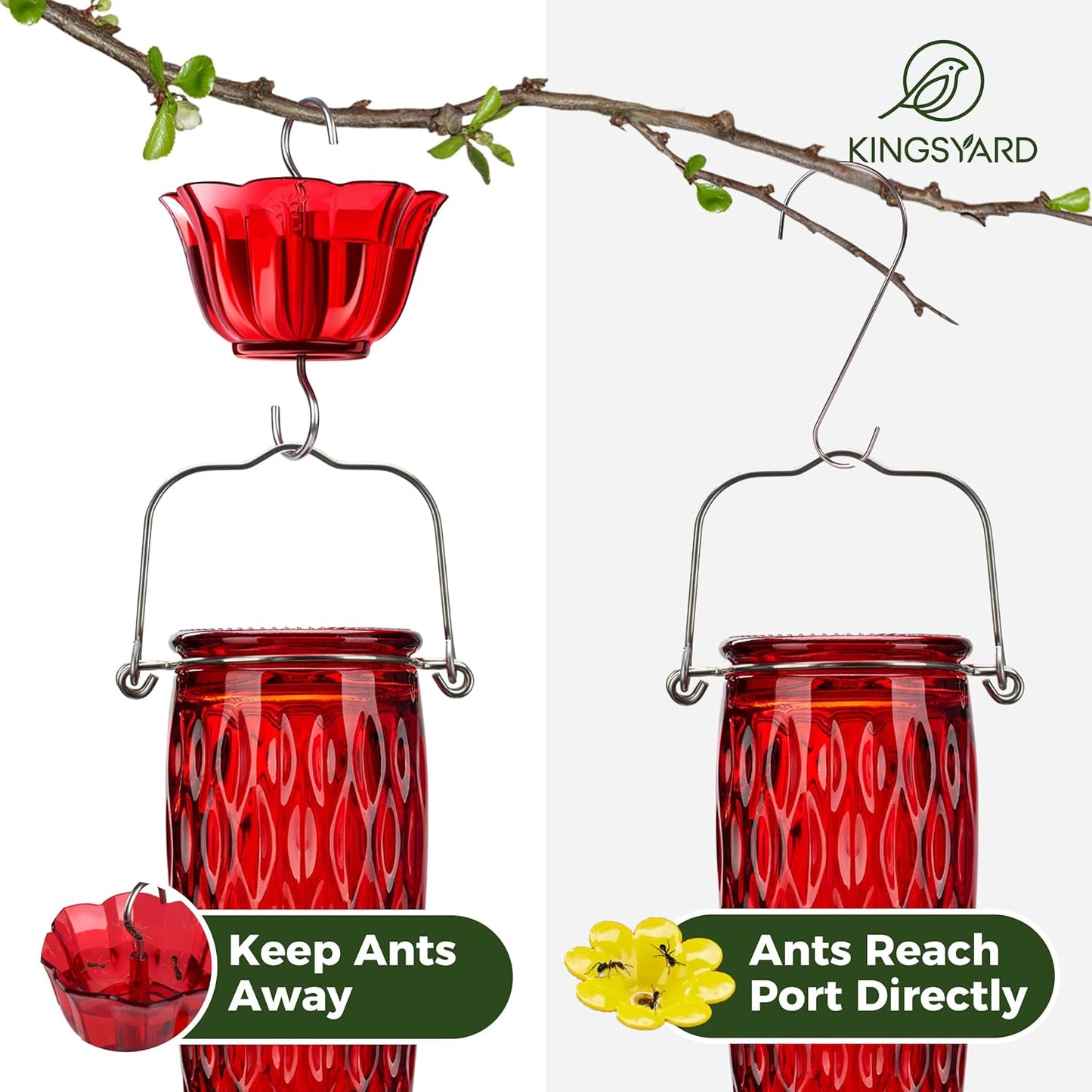 Kingsyard 2 Pack Glass Hummingbird Feeders for Outdoors Hanging, Wild 