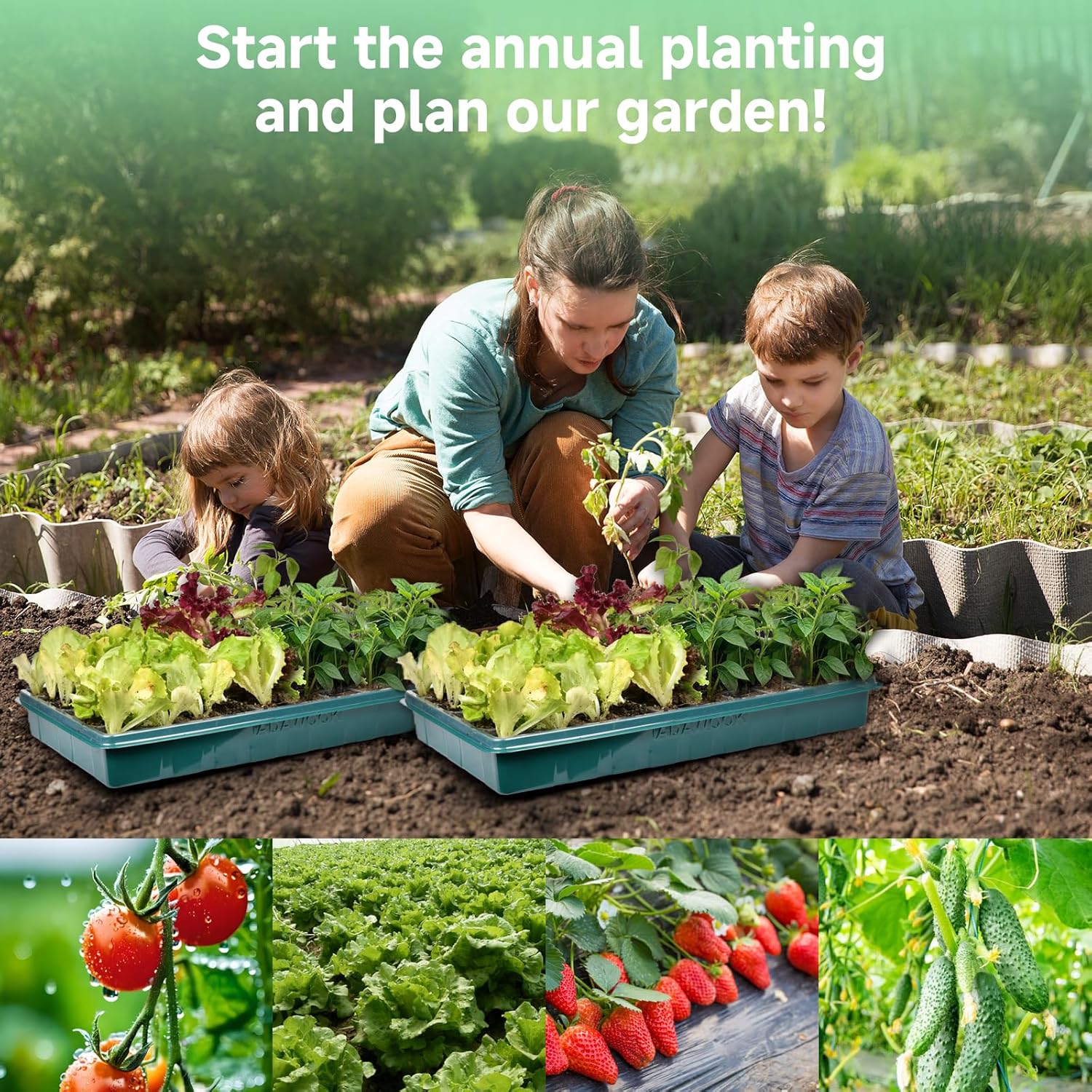 Seed Starter Tray, Seed Starter Kit with Grow Lights, Color Change Gro