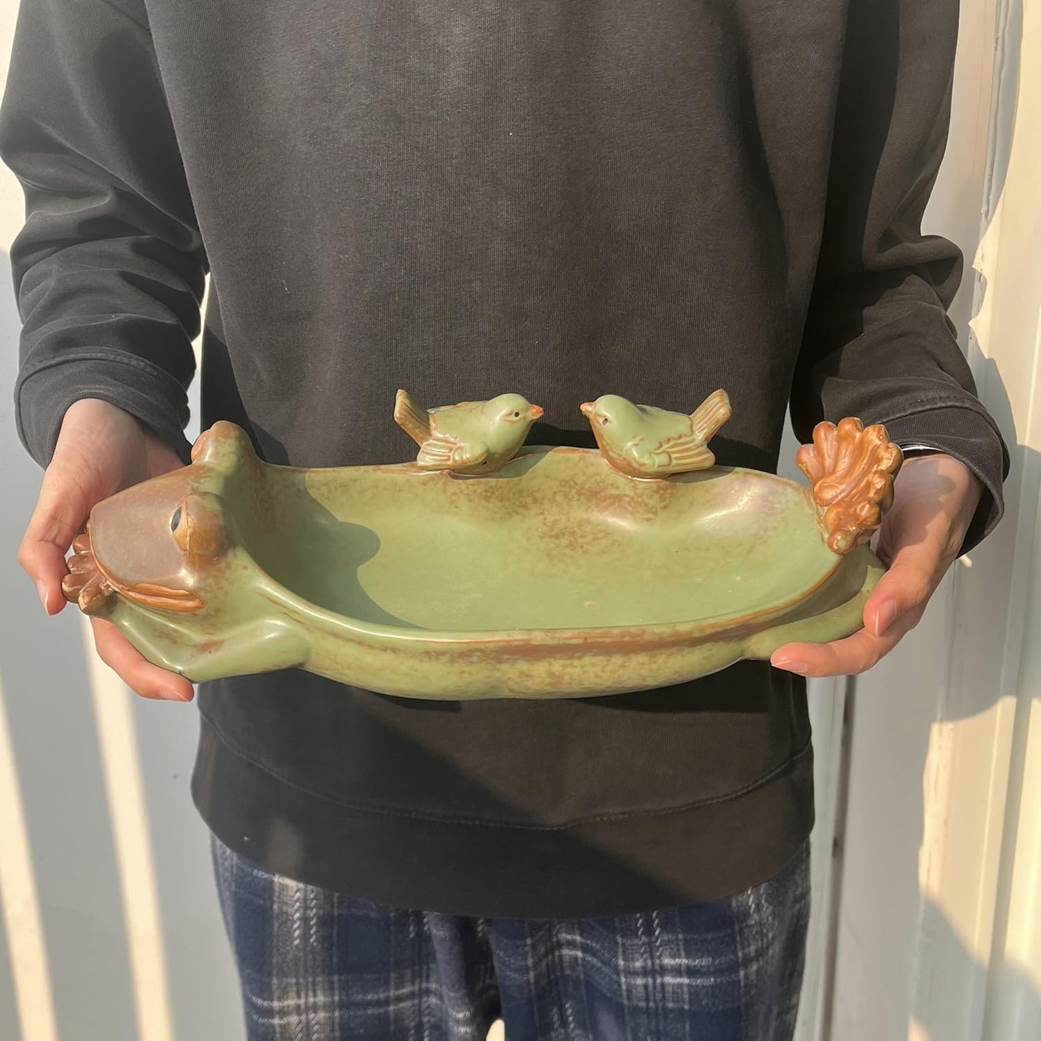 Birdbath Bowl Only, Ceramic Ground Level Bird Baths for Outdoors, Frog