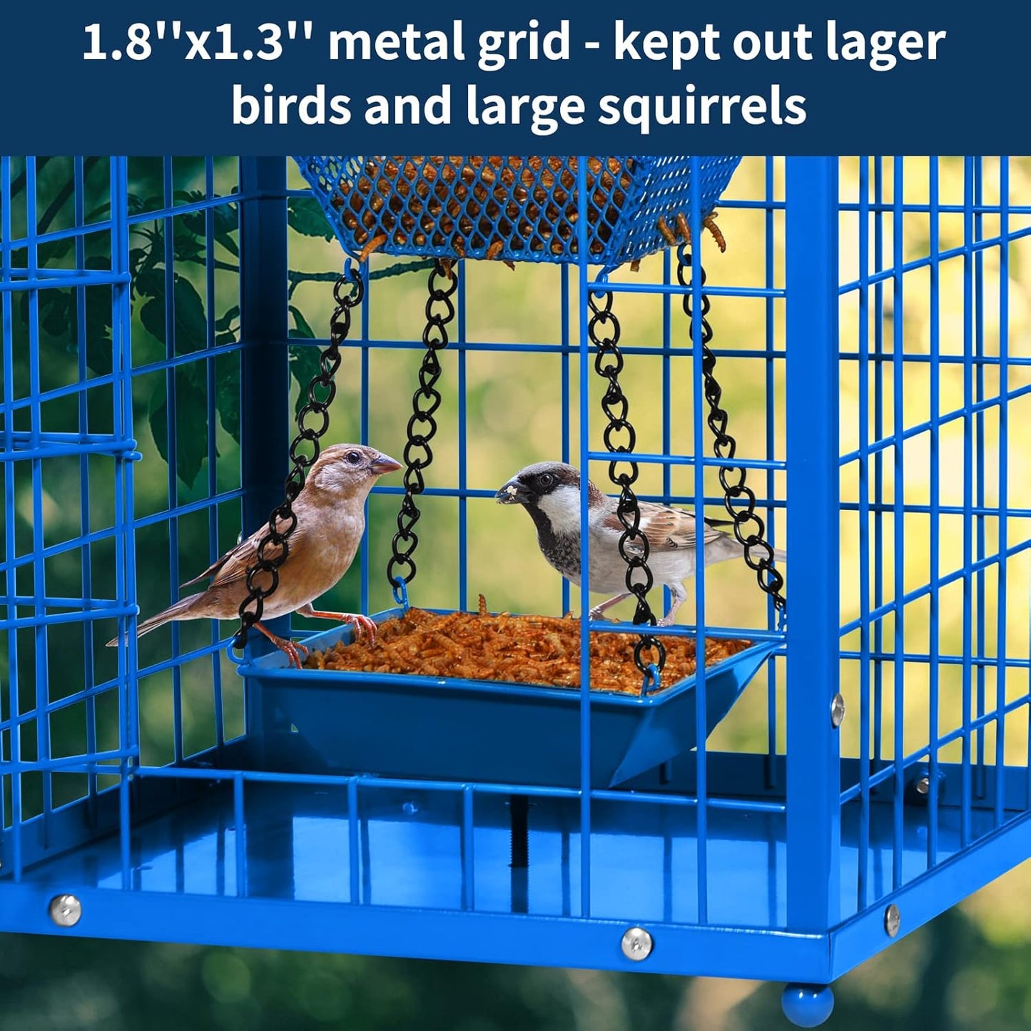 Bluebird Feeders Squirrel-Proof, 7 lbs, Large Heavy Metal Caged Mealworms Blue Bird Feeders for Outside, Weatherproof Wild Bird Feeder,2 Layer Seed Cups(Blue)