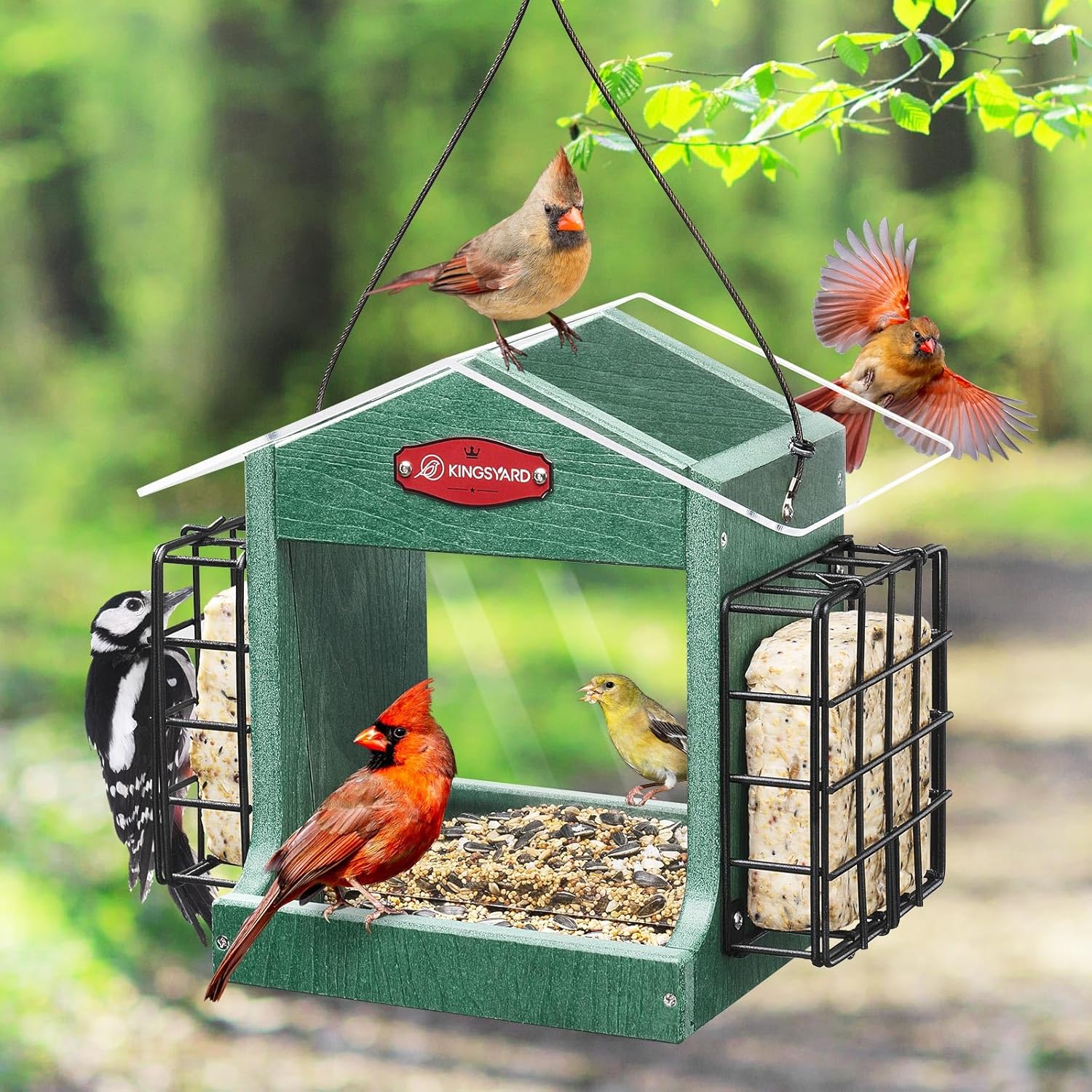 Kingsyard Bird Feeder for Outdoor Hanging - Recycled Plastic Double Su