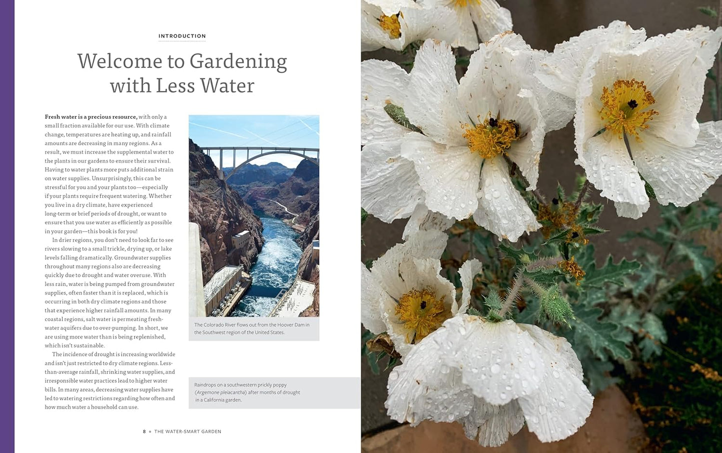 The Water-Smart Garden: Techniques and Strategies for Conserving, Capt