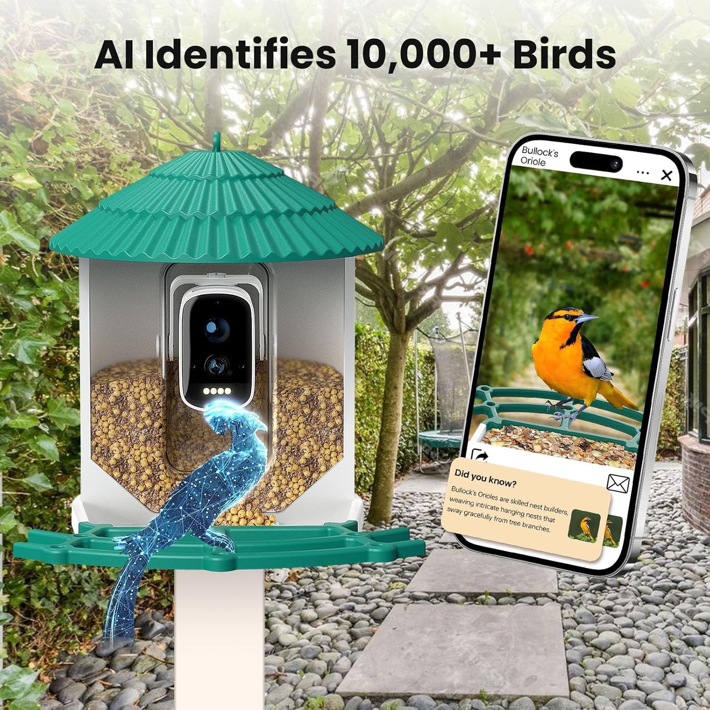 Bird Feeder with Camera,Ai Recognition 10000+ Species,3K Video with Noise Reduction,Solar Powered Bird House for Outdoors Bird Watching