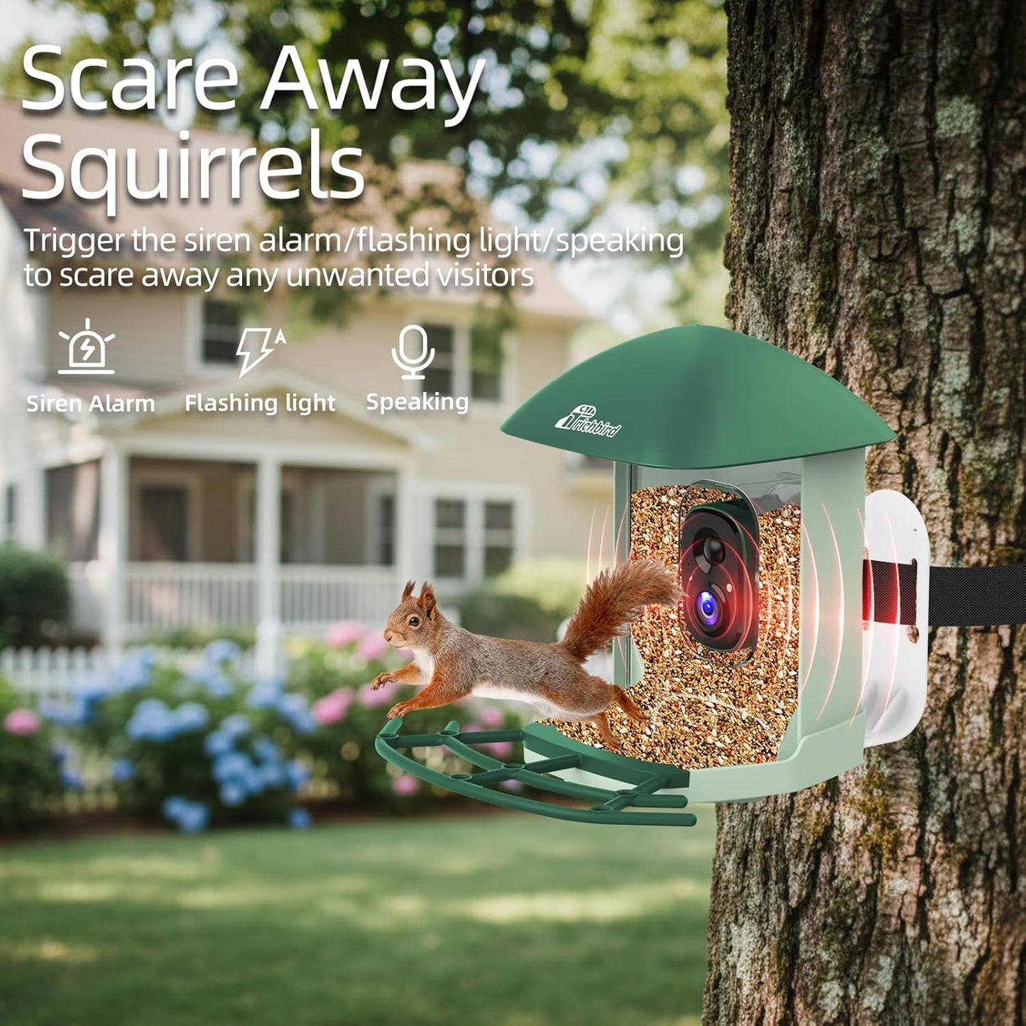 Smart Bird Feeder with 4MP HD Camera, Birdwatching Camera with Free AI