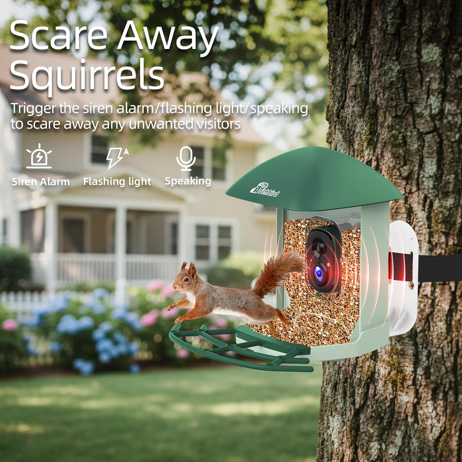 Smart Bird Feeder with 4MP HD Camera, Birdwatching Camera with Free AI