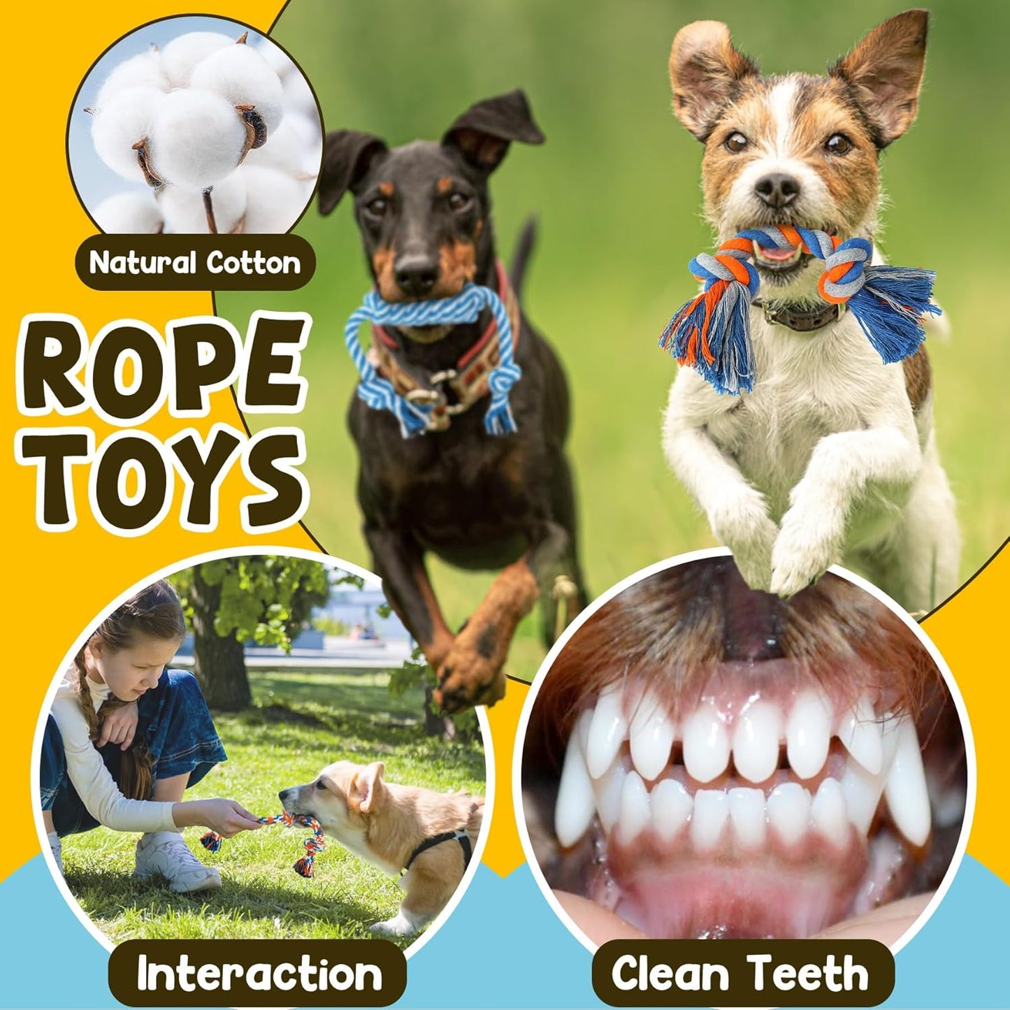 Zeaxuie 9 Pack Luxury Puppy Toys for Teething Small Dogs, Puppy Chew T