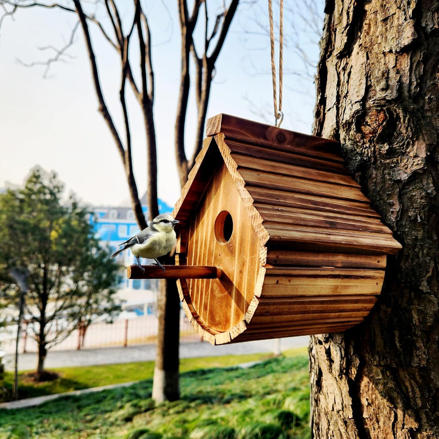 1 Pack Wren Houses for Outdoors,Natural Wooden Bird Houses for Outdoor Chickadee,Bluebird etc,Handmade from Natural Wood for Garden Decorations