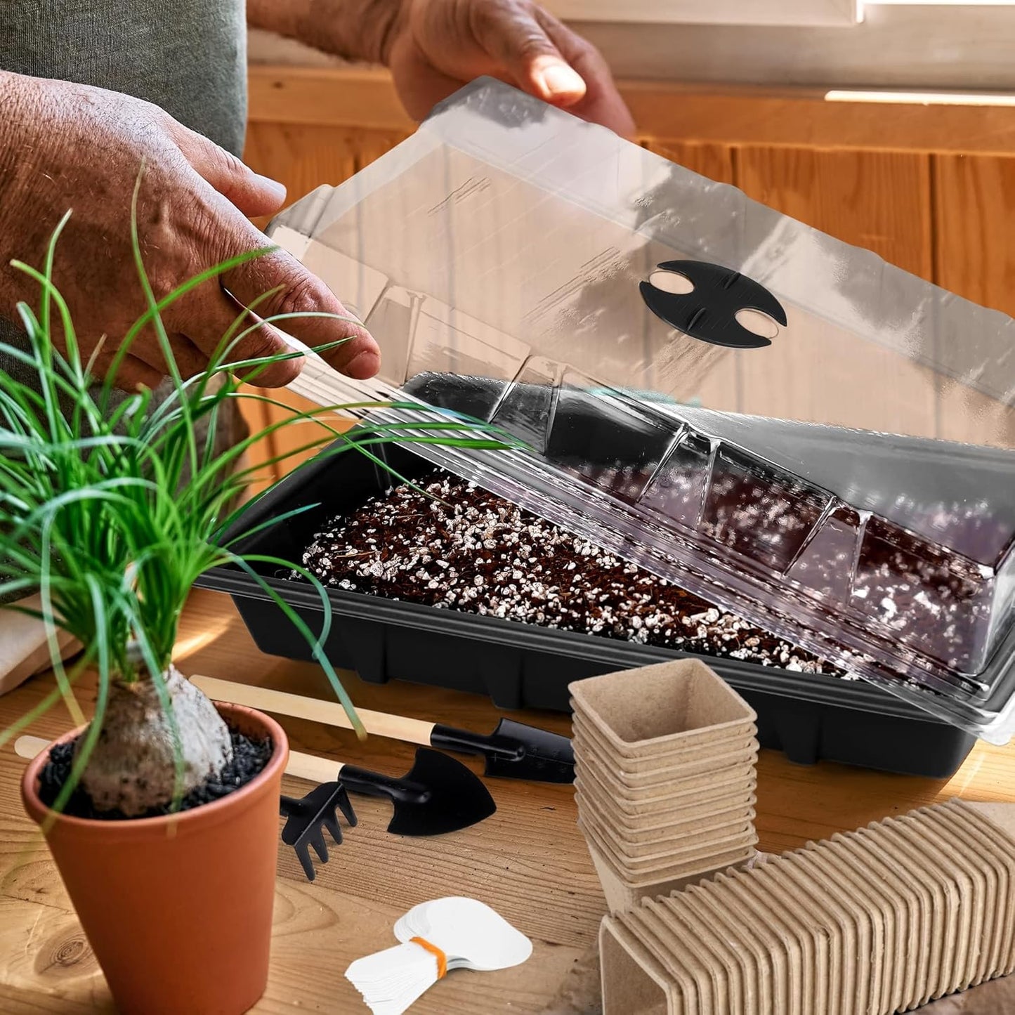 6 Pack Seed Starter Tray Kit with 120 Square Peat Pots for Seedlings, 