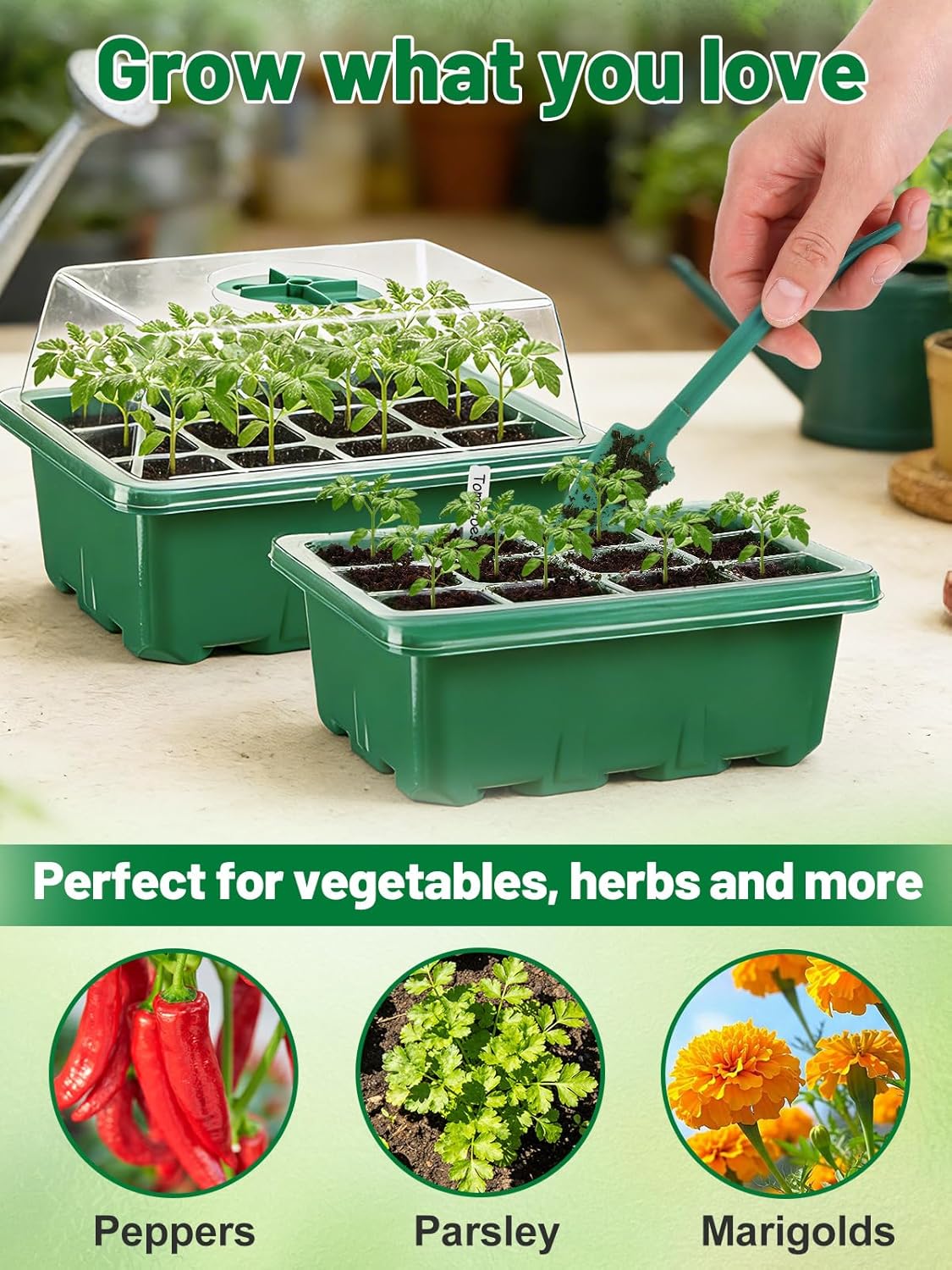 Apipi 5 Pack Seed Starter Kit with 60 Coco Coir Pellets - 60 Cell Seed