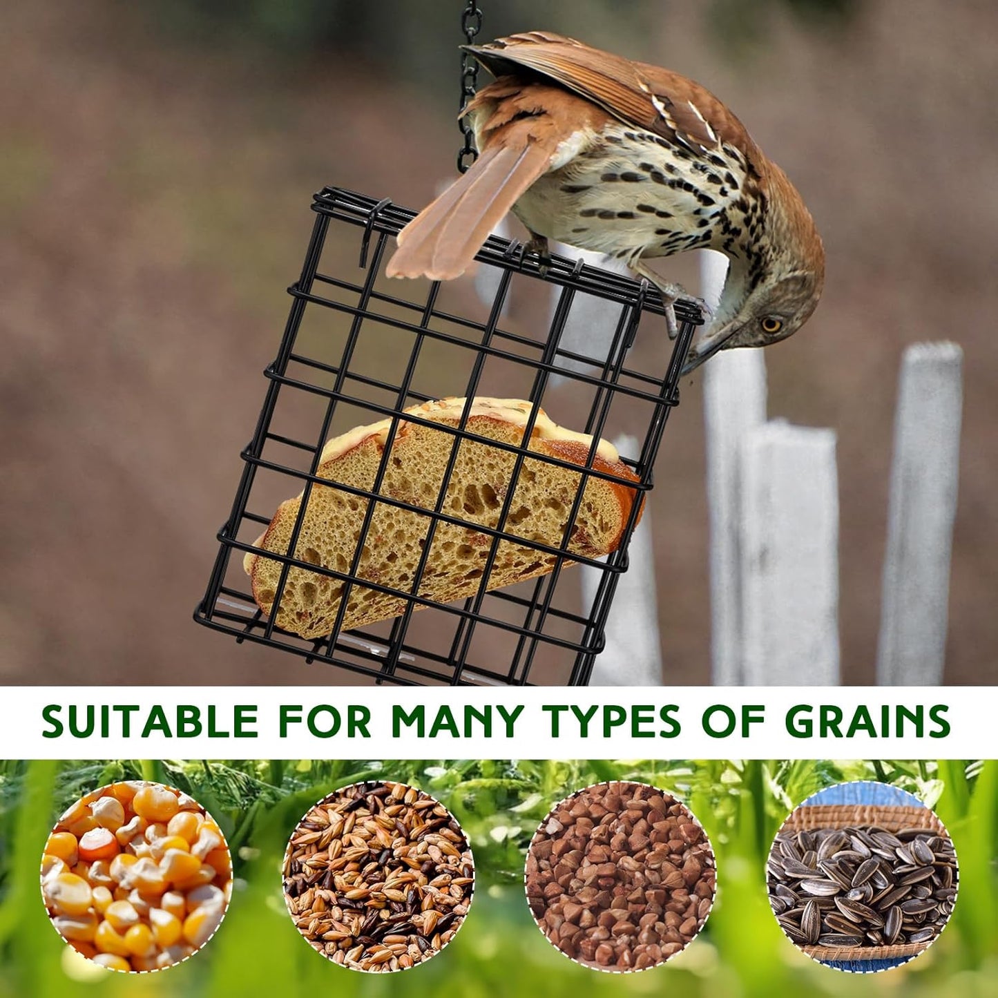 Zhehao 6 Pcs Suet Bird Feeders Outdoor, Hanging Wild Bird Feeder with Single Cake Capacity, Weatherproof Metal Suet Feeder for Garden Yard Outside Decoration, Easy to Clean & Hang (Black)
