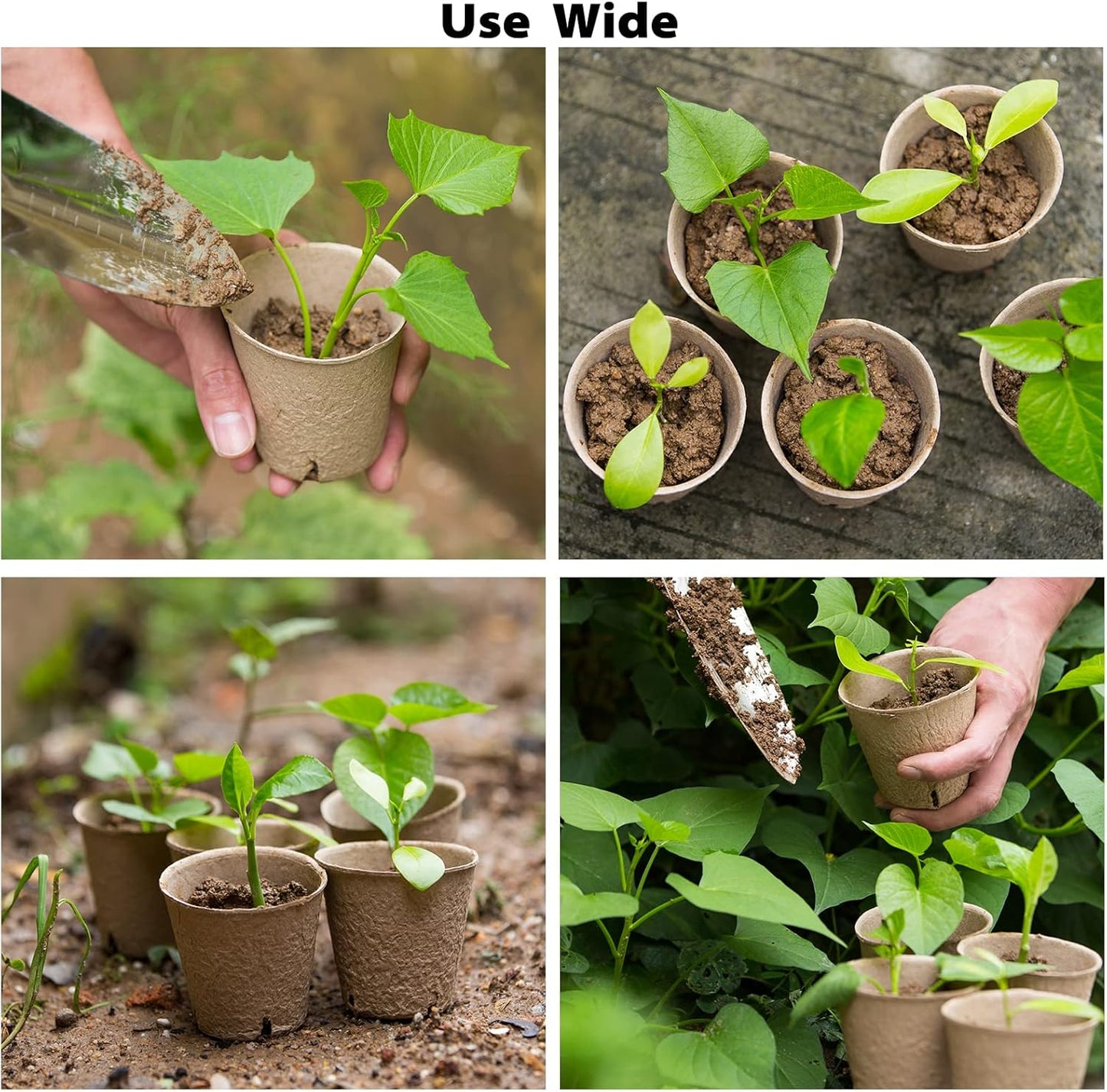120 Pack 3.15 Inch Peat Pots Plant Starters for Seedling, Herb Seed St