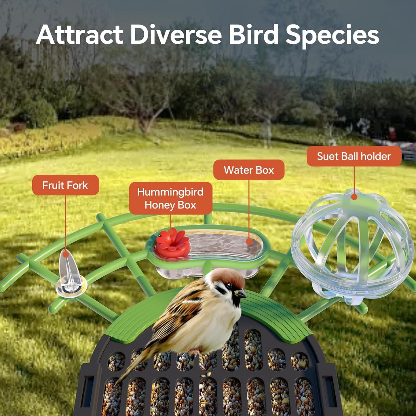 Bird Feeder for Outdoors, Outside Seed Feeders with 4 in 1 Food Tray, 2L Clear Large Capacity, Easy Mount, Suitable for Finch, Cardinal, Blue Jay, Humming, Safflower and Other Birds