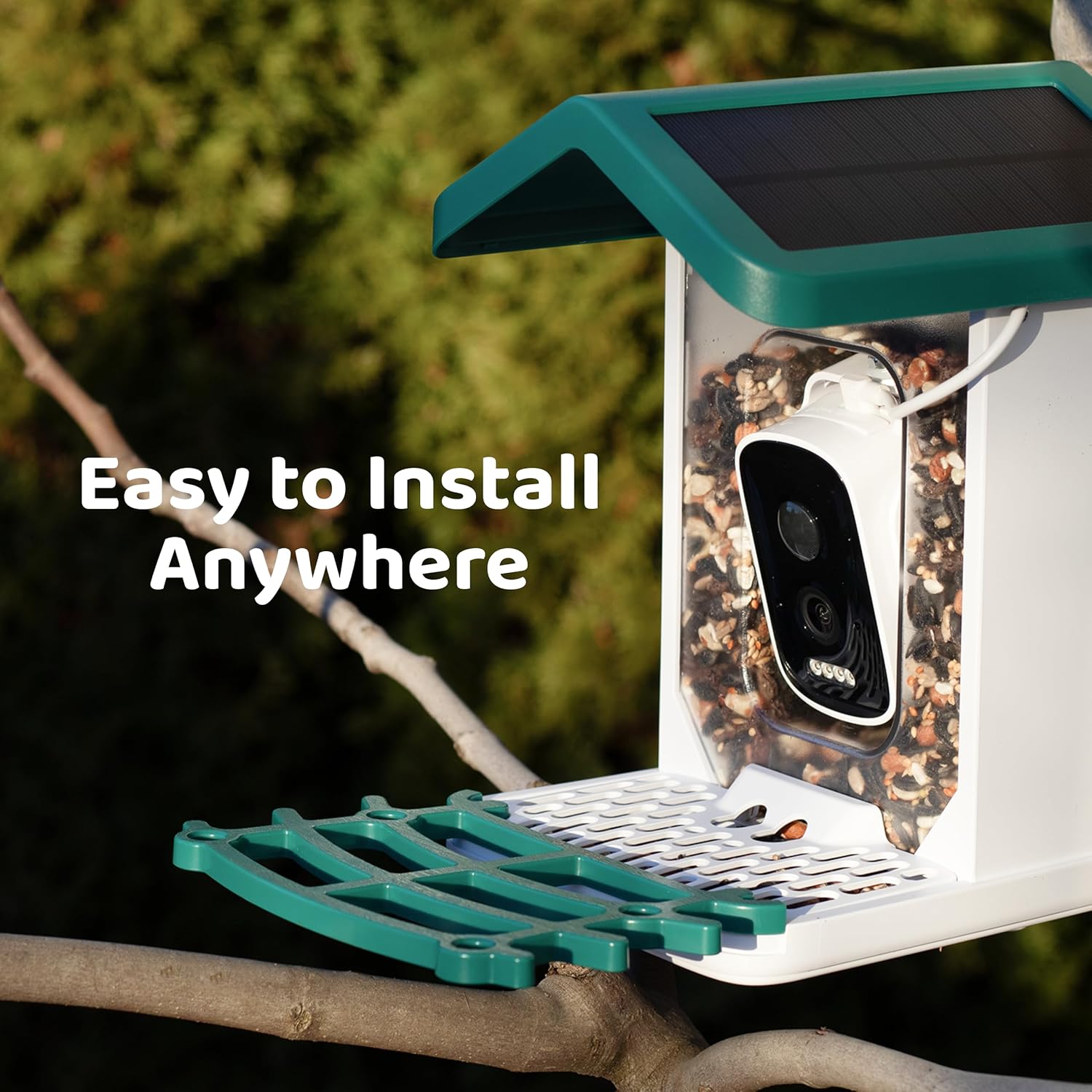 Happy Birdy Smart Bird Feeder with Camera - 2.5K HD Video, Wild Bird F