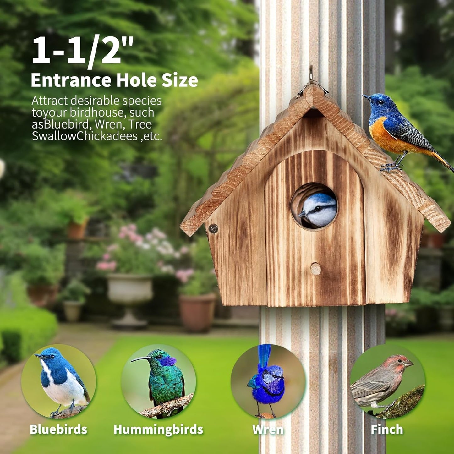 Bird House for Outside - Hanging Outdoor Birdhouse - Natural Wood Bird Nesting Box for Bluebirds, Hummingbirds, Finches, Wrens, Cardinals - Easy to Clean & Durable Garden Bird Shelter