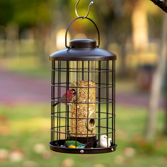 Caged Bird Feeders Metal - 3 Lbs - Squirrel-Proof Wild Bird Feeders, C