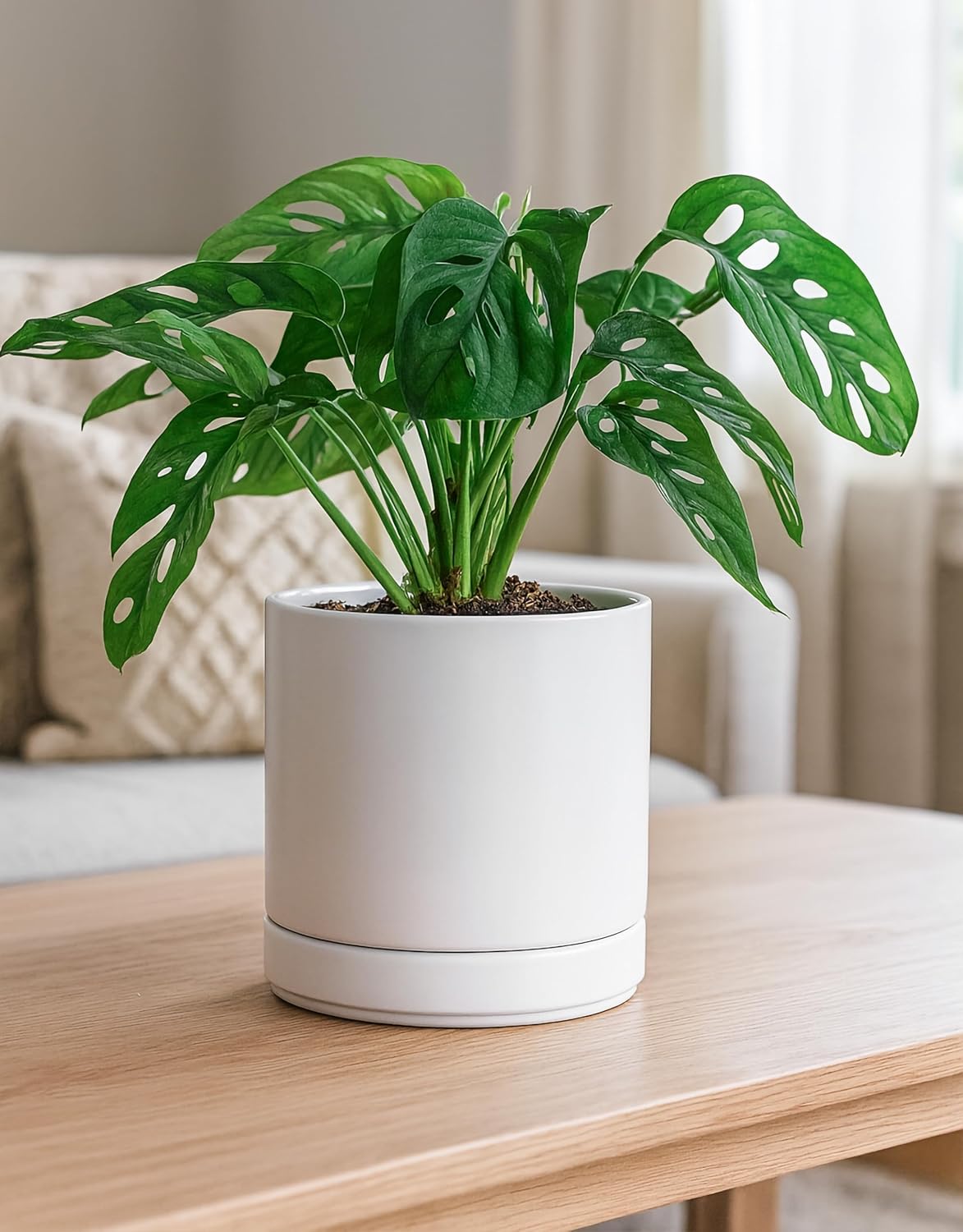 D'vine Dev Set of 2 Plants Pots, 6.5 Inch Ceramic Planter Pot for Plan