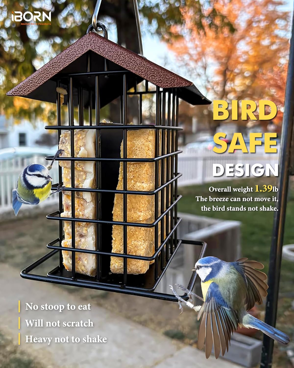 iBorn Suet Feeder for Outside Hanging,Suet Bird Feeders for Outdoors,S