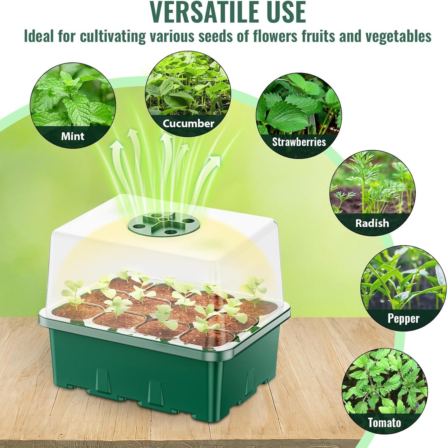NBPLUS Seed Starter Tray with Grow Light, 5 Pack 60 Cells Seed Starter