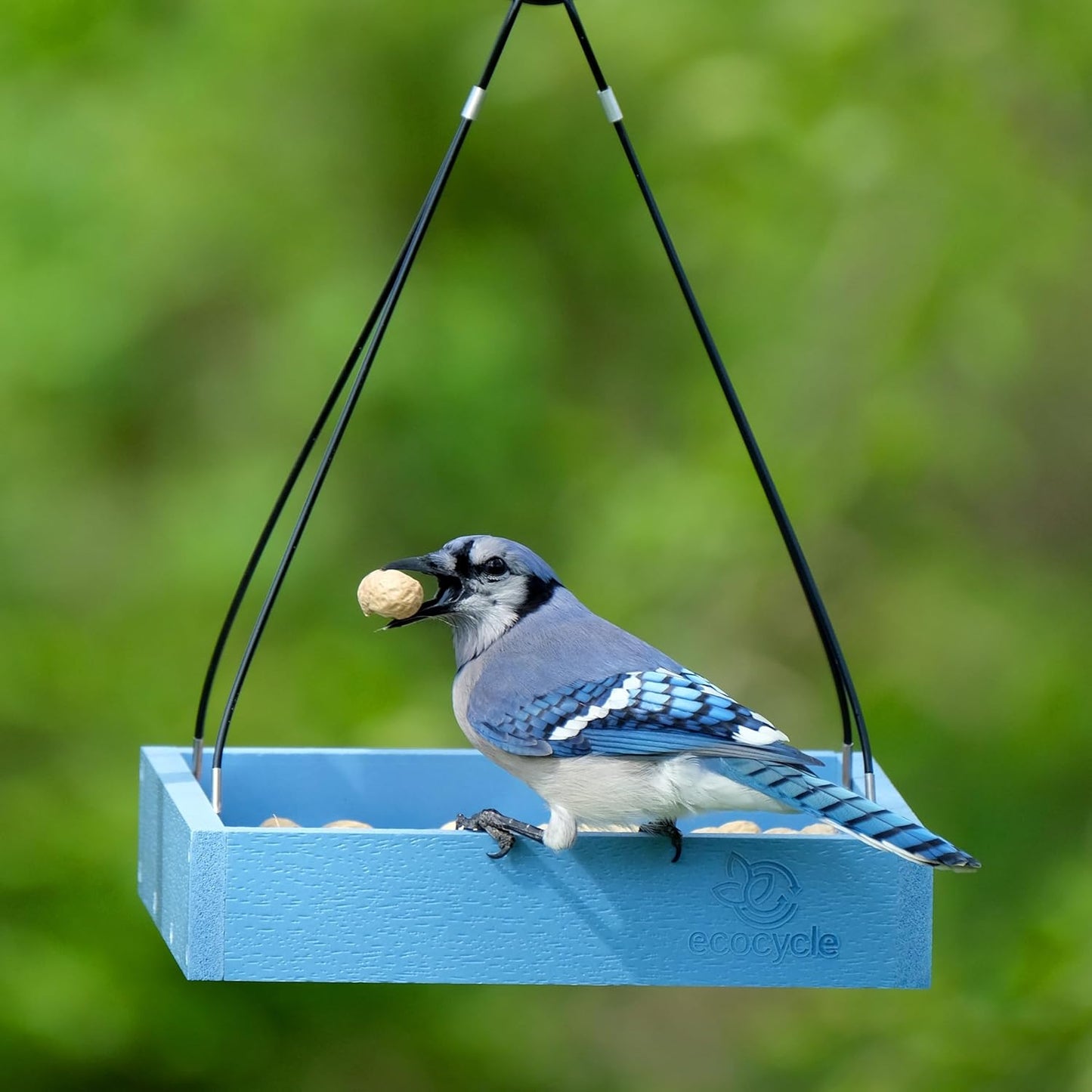 Perfect Picnic Recycled Plastic Bird Feeder with Fresh Seed Tray for Wild Birds and Outdoor Décor, Hanging Tray Feeder, 1.5 Quart Capacity, Blue