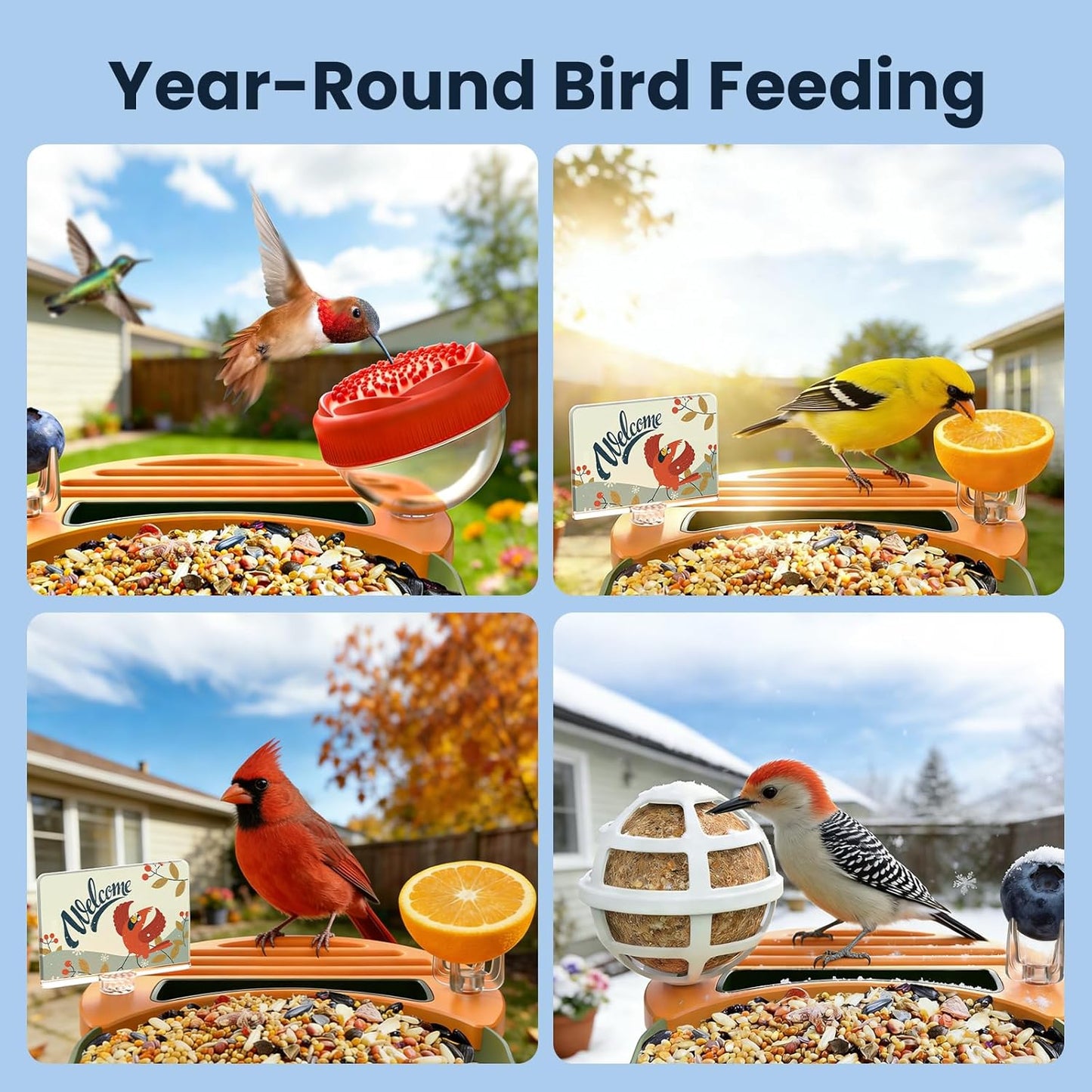 DIY Bird Feeder Add-Ons for Bird Feeder Camera, Including Suet Ball, Mini Hummingbird Feeder, Welcome Card, Must-Have Bird Feeder Accessories to Attract More Birds, Ideal Gift for Bird Lover
