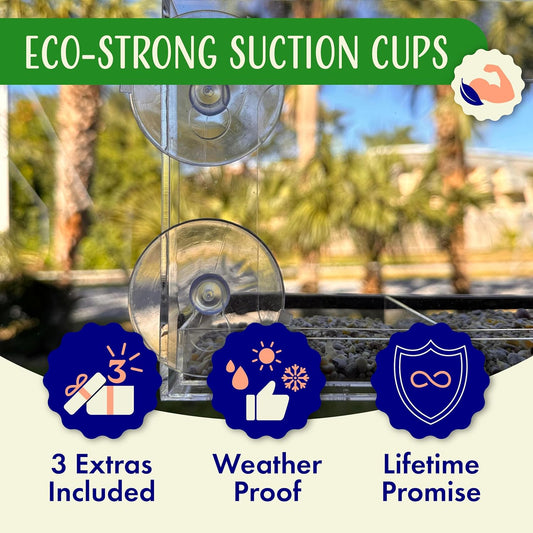 Clear Window Bird Feeder - Sturdy & Easy to Install with Strong Suction Cups-Detachable Design for Effortless Cleaning-Perfect Wildlife Watching by Cats, Kids & Elderly-Window Bird Feeders for Outside