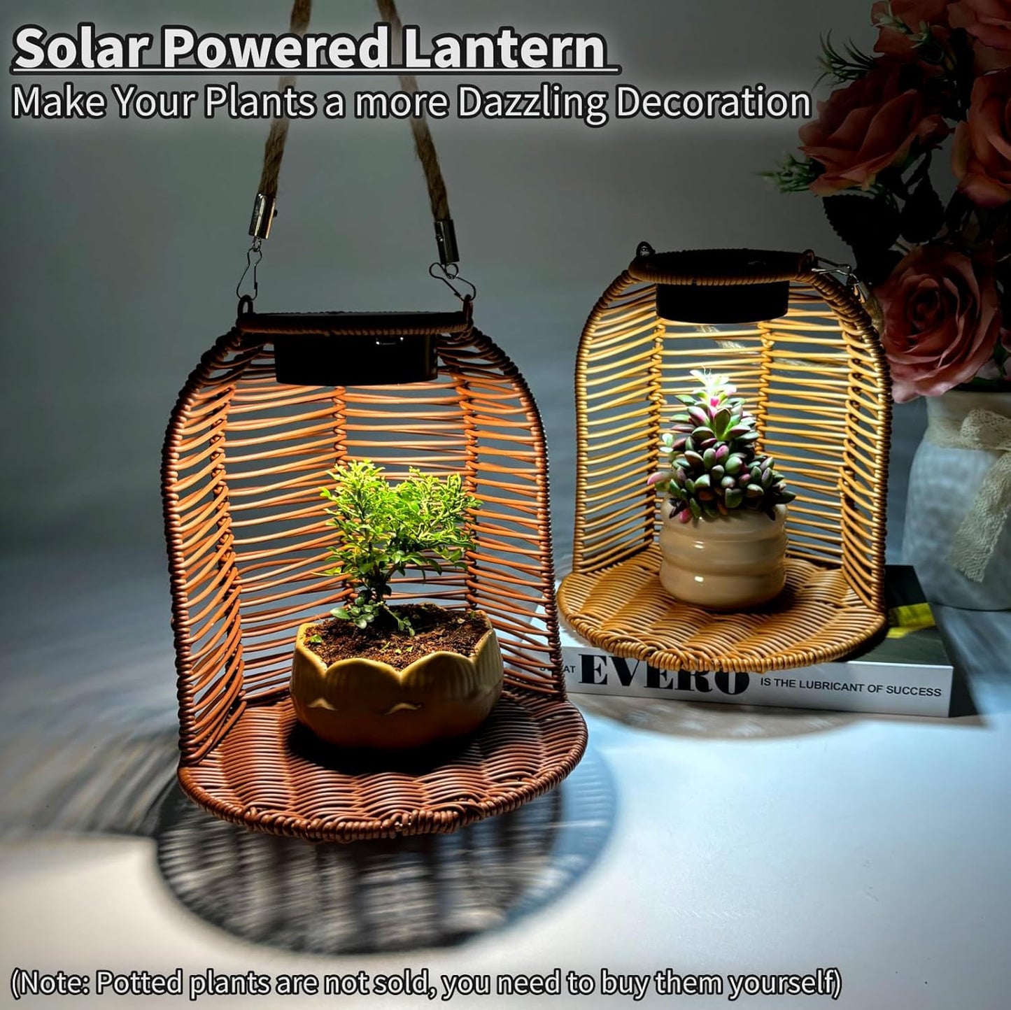 Hanging Planter for Indoor Plants, Rattan Hanging Flower Pots with Sol