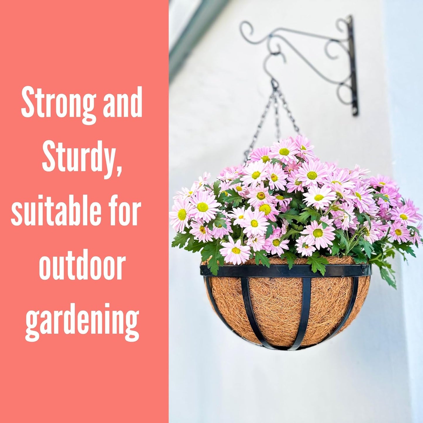 LaLaGreen Outdoor Hanging Baskets for Plants (2 Pack, 12 Inch) Medium Black Hanging Planters with Coco Liner, Metal Flat Iron Flower Pots for Deck Patio Porch Modern Garden Balcony Outside Decoration