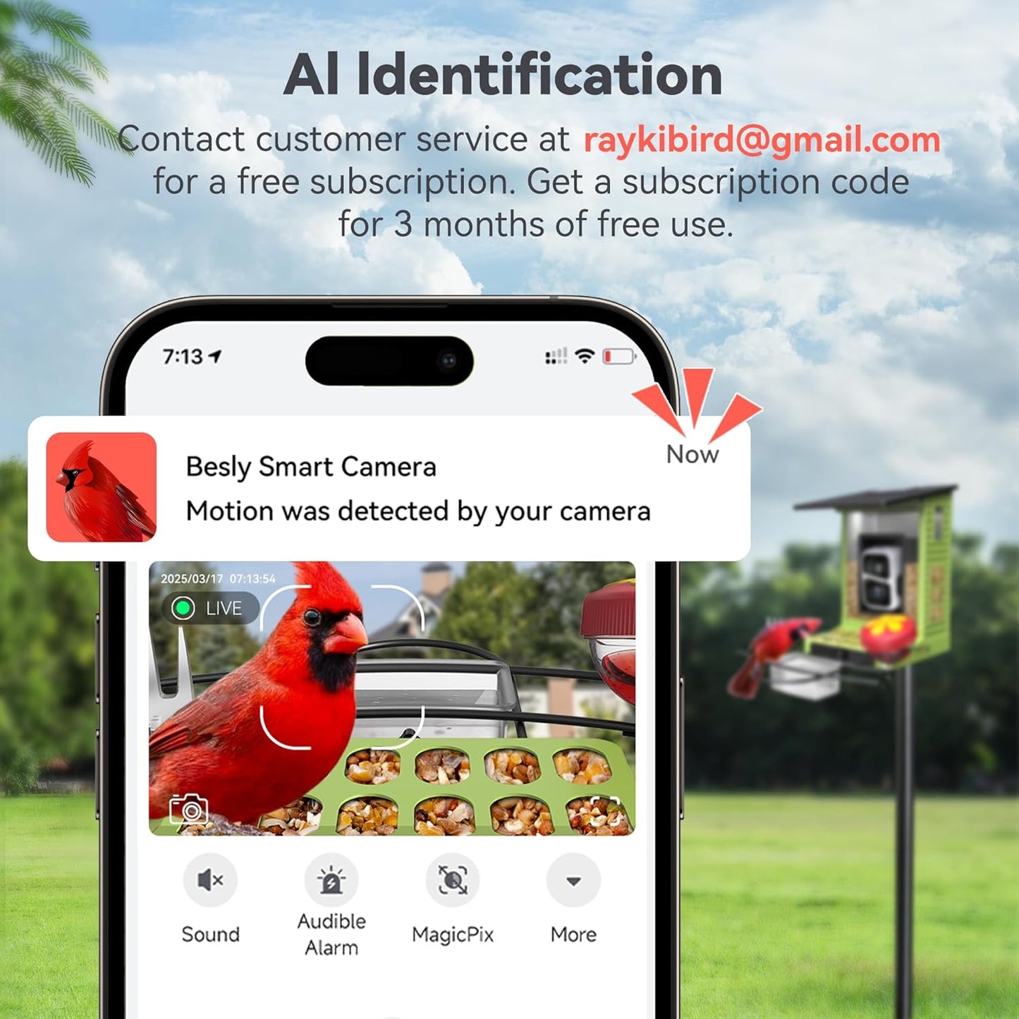 Rayki Metal Solar Powered Smart Bird Feeder with Camera, AI Identify with Solar Lights, 2K HD Cam & WiFi, Instant Arrival Alerts,Ideal Gift for Bird Lovers