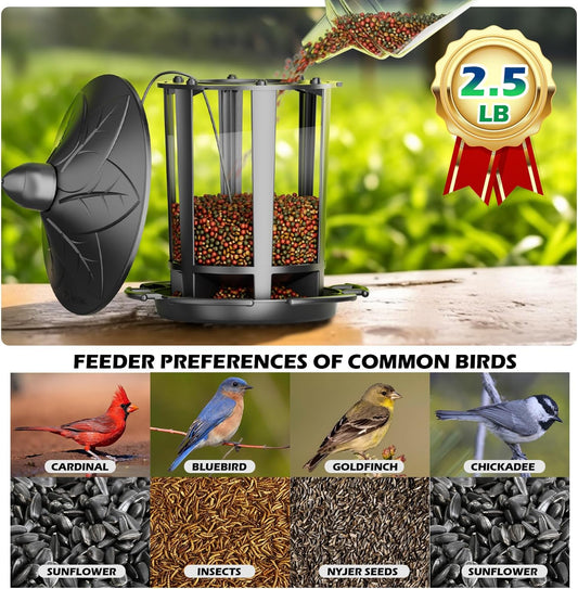 Birdream 2 Pack Bird Feeders for Outdoor Hanging, Assembly Required, 1-Min Easy Setup, Charming Castle Design, Attracting Cardinals Chickadees Goldfinches & Sparrows - Black