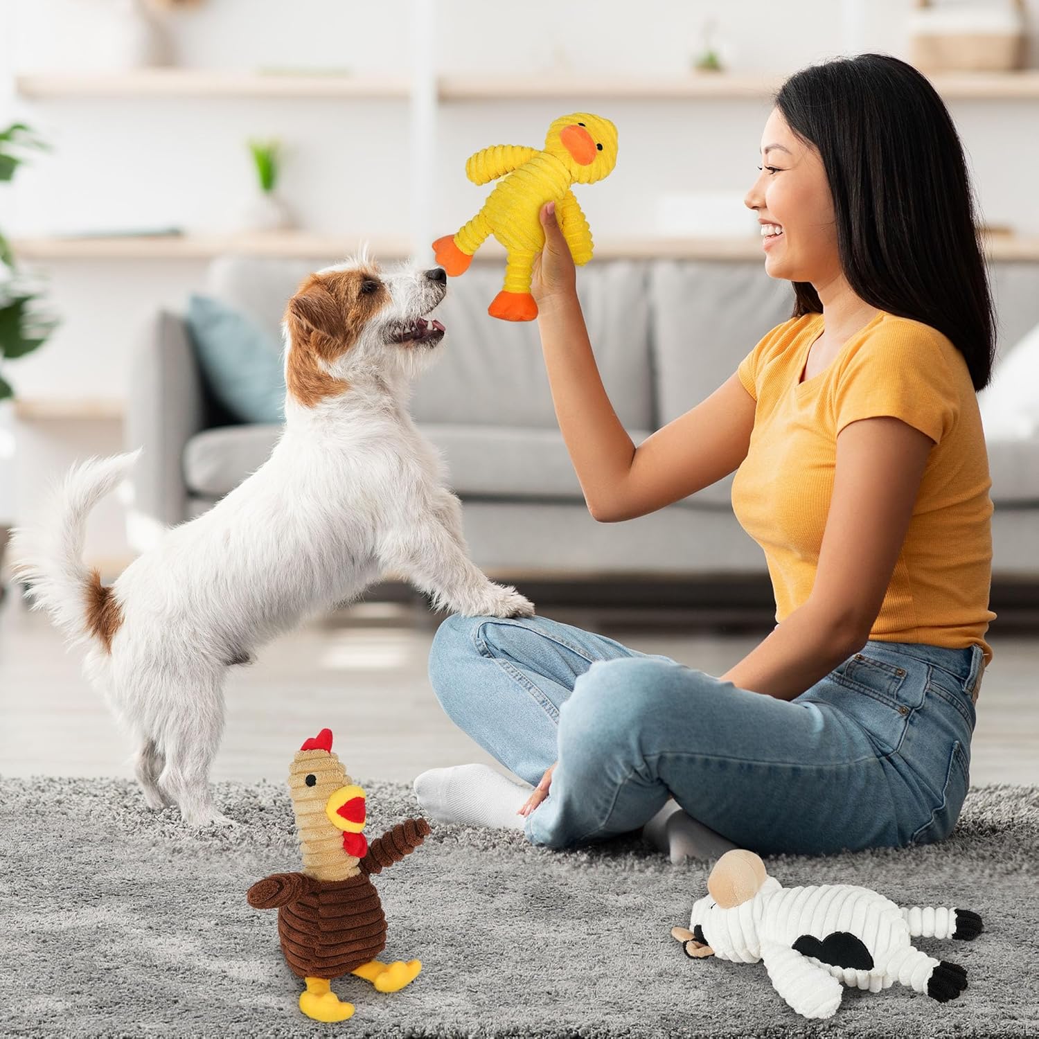 Prime Pets Dog Toys, 5 Pack, Plush Dog Squeaky Toys, Assortment Value 