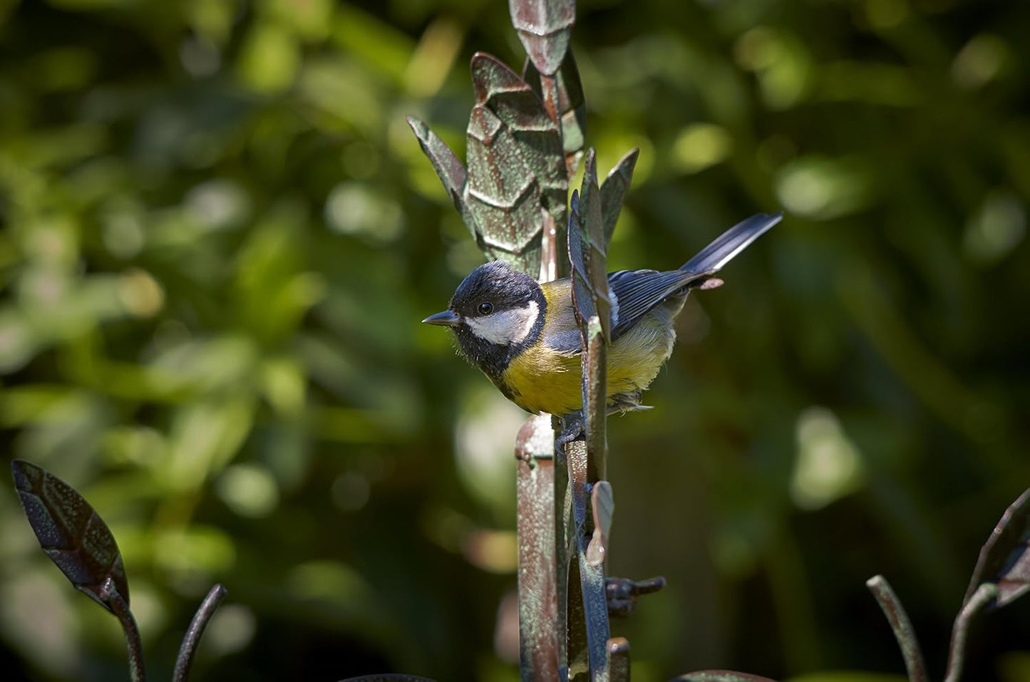 Peckish 60051228 Secret Garden Dining Station for Wild Bird, 6 x 20 x 80 cm