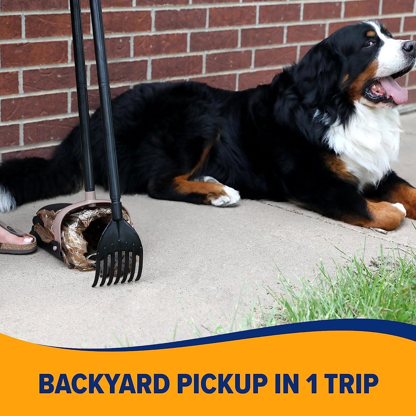 Arm & Hammer Dog Pooper Scooper Swivel Bin & Rake, Poop Scoop for Dogs