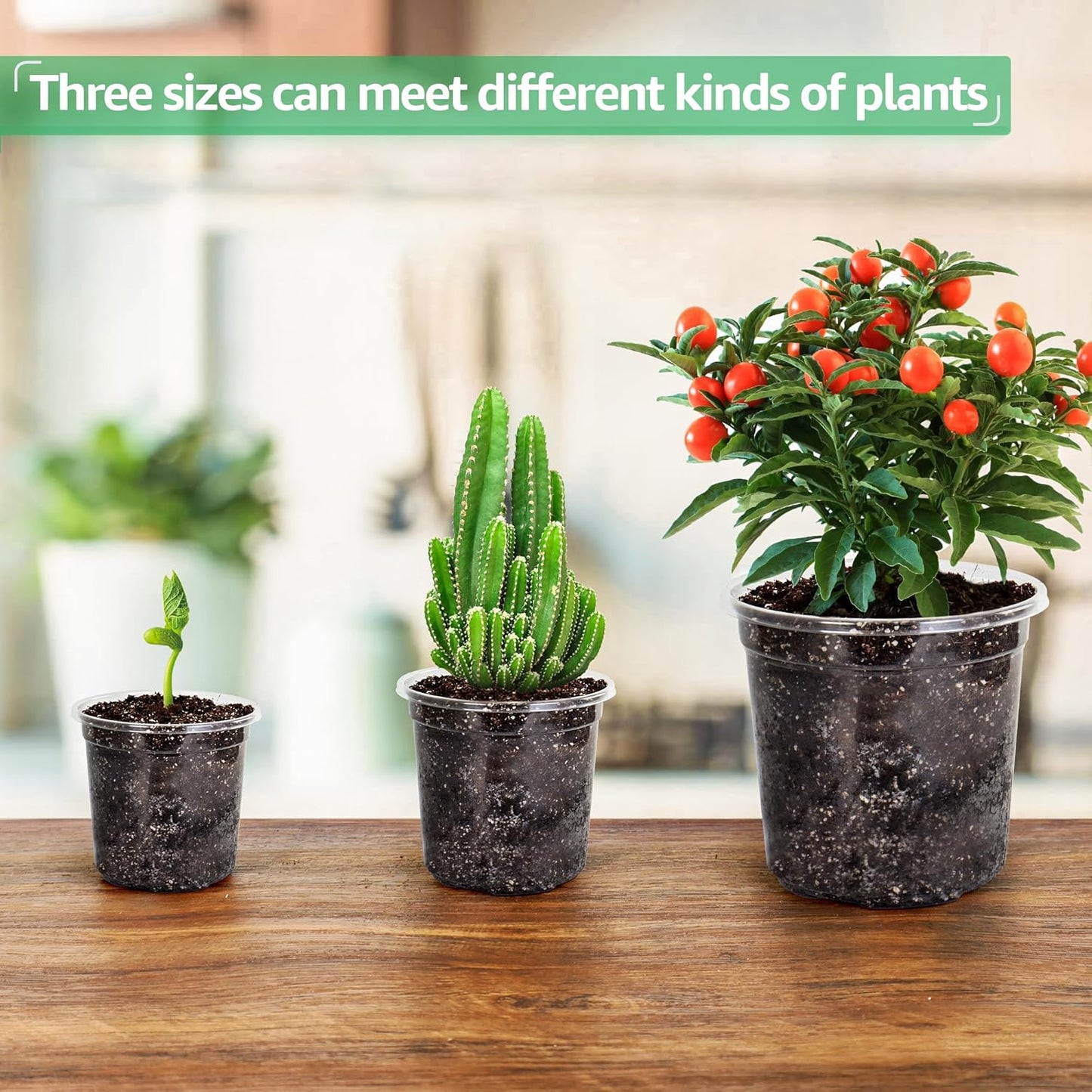 36 Packs 5/4/3.5 Inch Reinforced Clear Nursery Pots with Drainage Hole