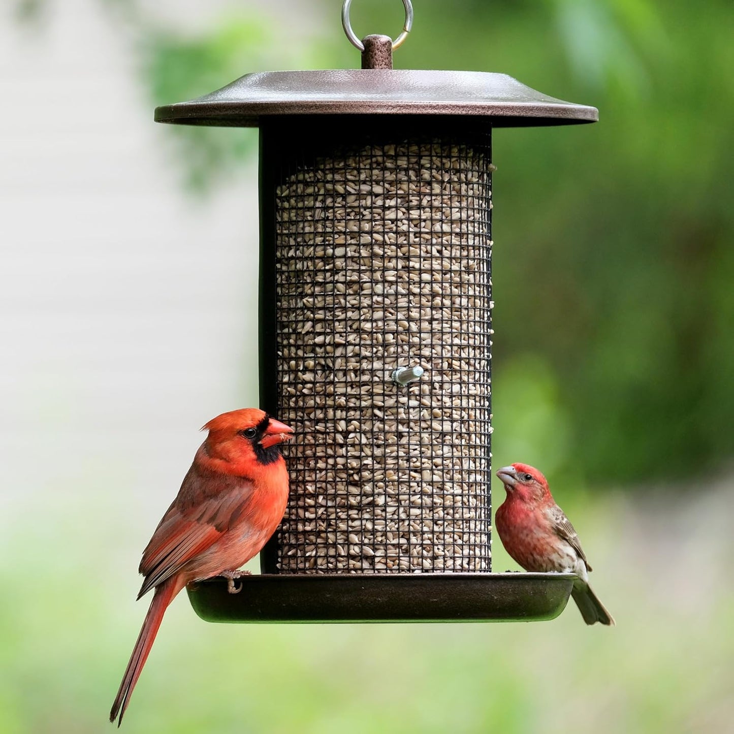 Nature’s Way Beloved Bronze Dual-Chamber Metal Mesh Bird Feeder for Outdoor Décor, 2.375 Qt Capacity with Easy Clean Design, Seed Tray Drainage & Powder-Coated Metal, Bronze
