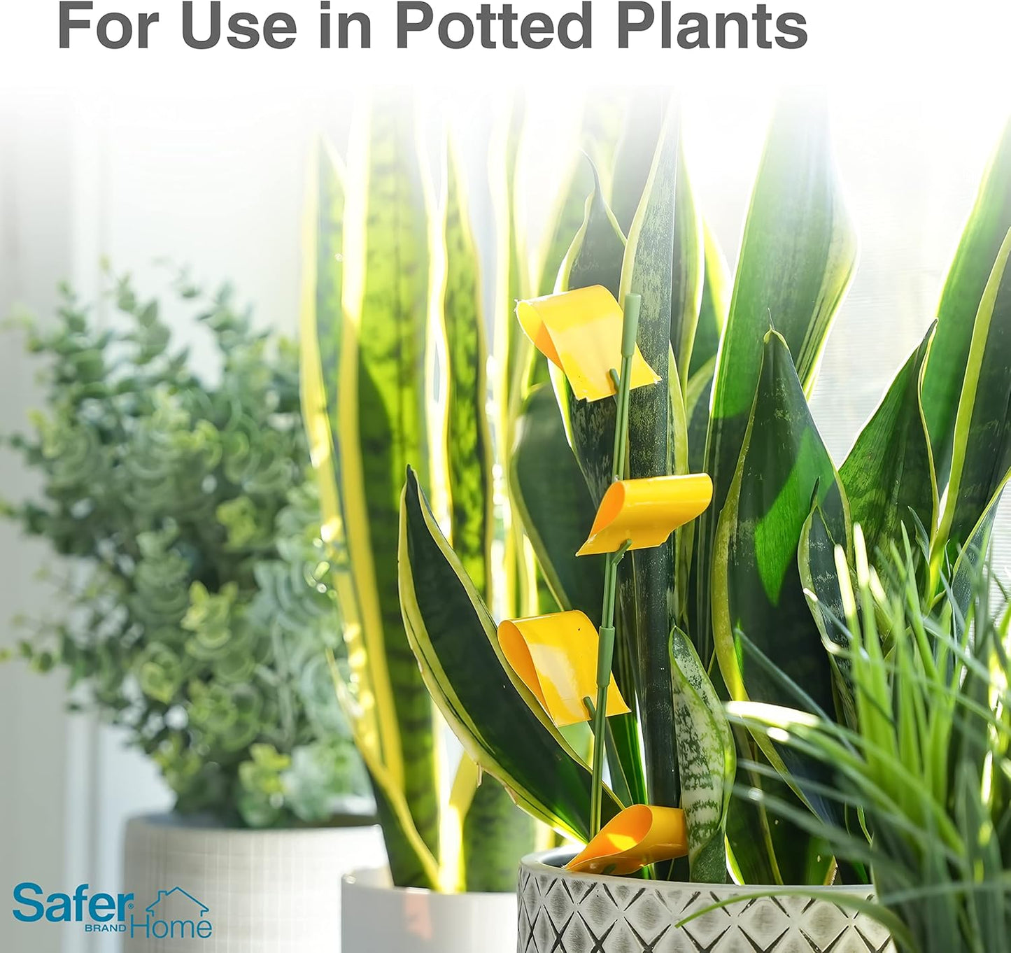 Safer Brand Home SH5026-3SR Houseplant Sticky Stake Insect Traps for I