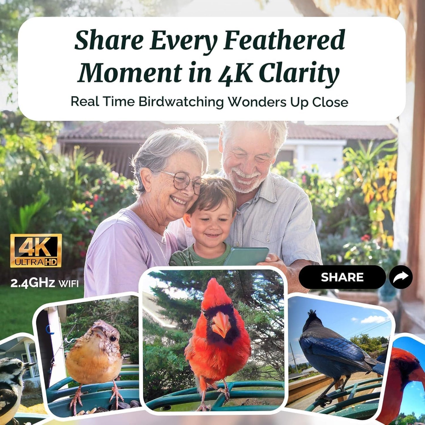 Smart Bird Feeder 4K AI Camera With Solar Panel For Outdoors, Bird Species Identification, 8MP Photos, 4K Video Livestream, Real-Time Bird Alerts, Birdwatching Gifts For Bird Lovers, Sage Pine