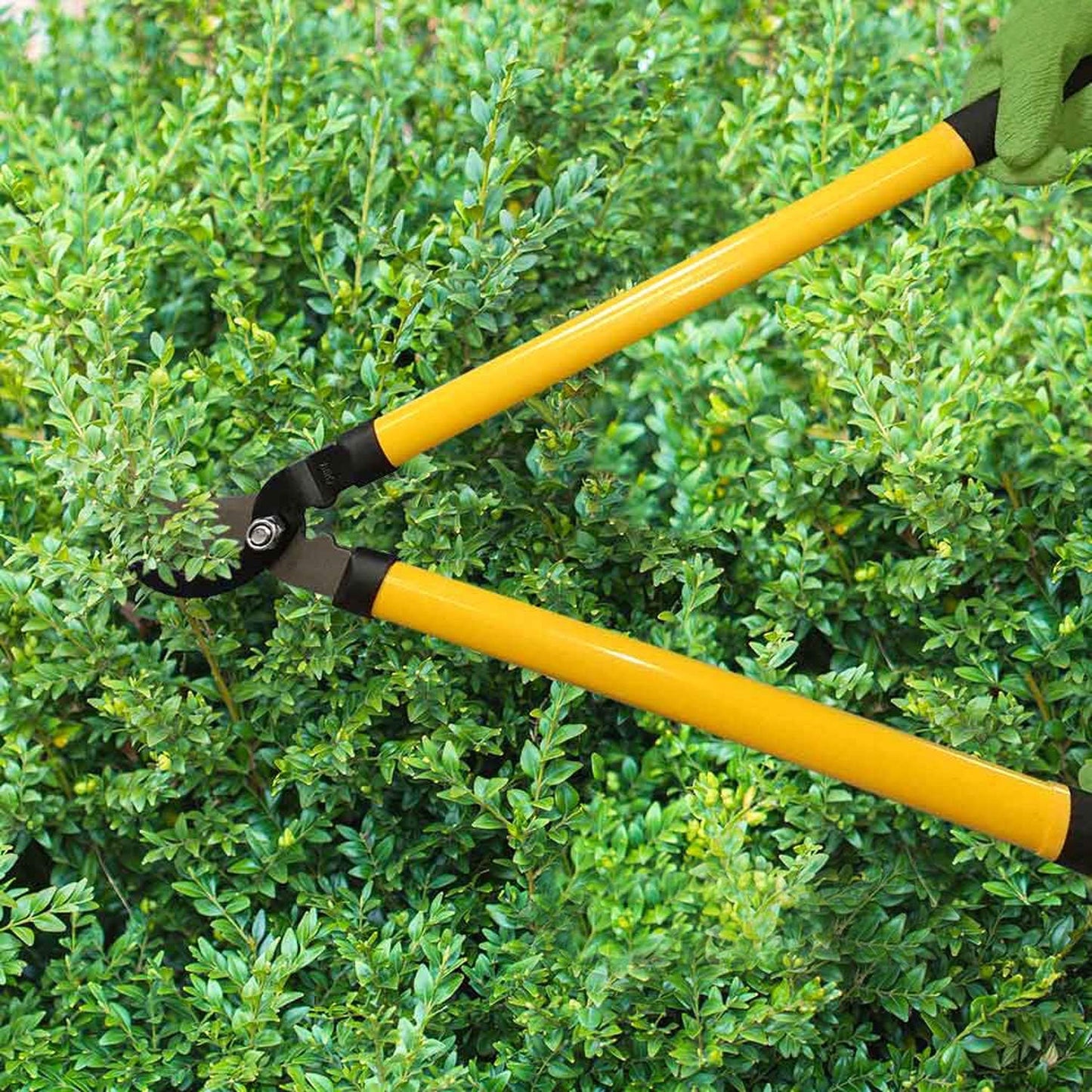 Centurion 1222 3-Piece Lopper, Hedge Shear & Pruner Combo Set, Heavy D