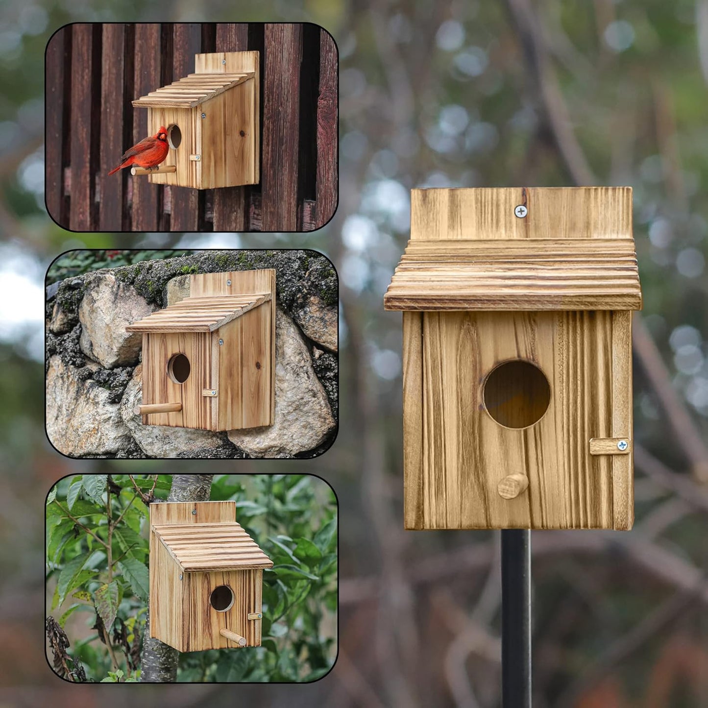 Bird Houses for Outside，Wooden Birdhouse with Open House Design - Perf
