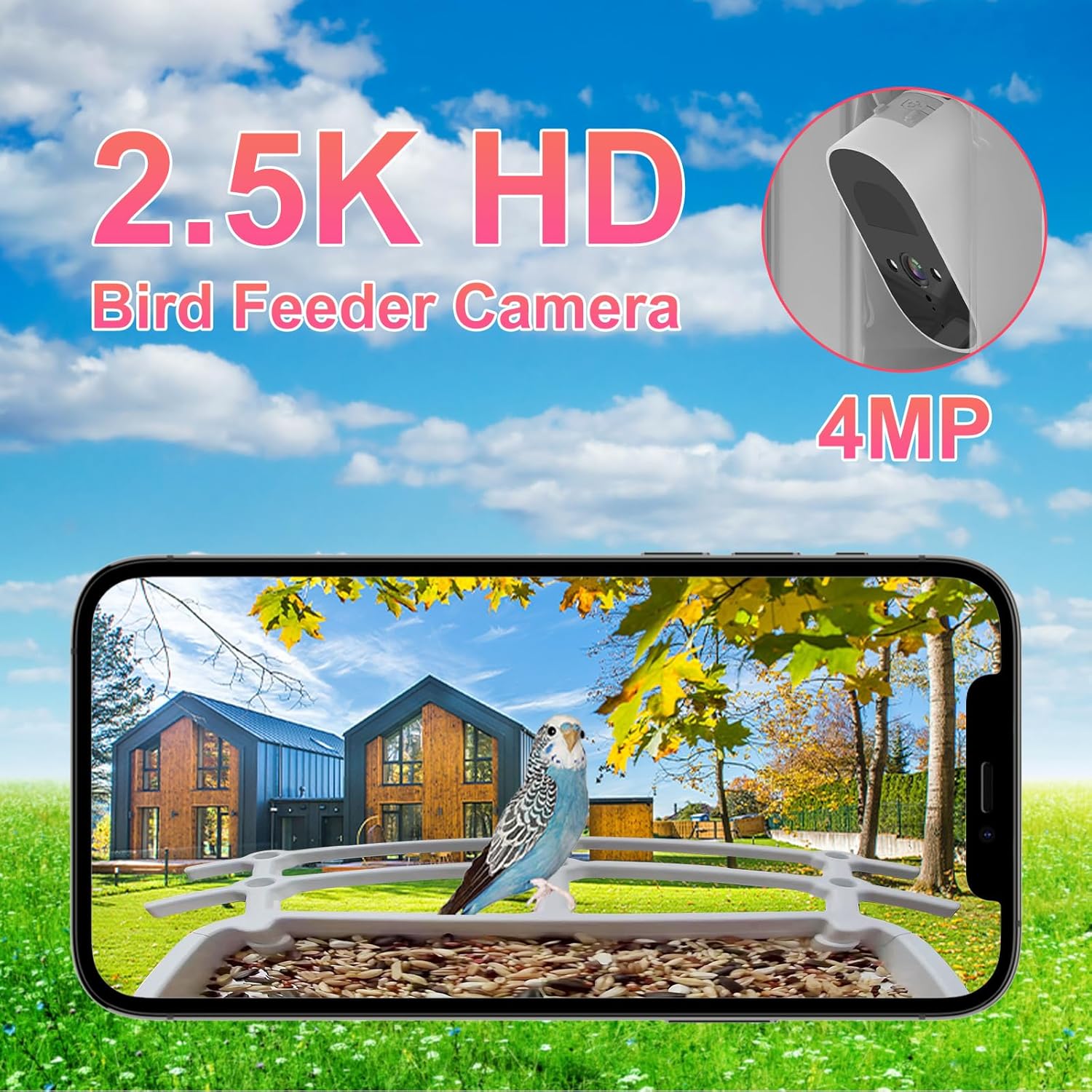 Smart Bird Feeder with Camera, AI Bird Species Identification, Solar P