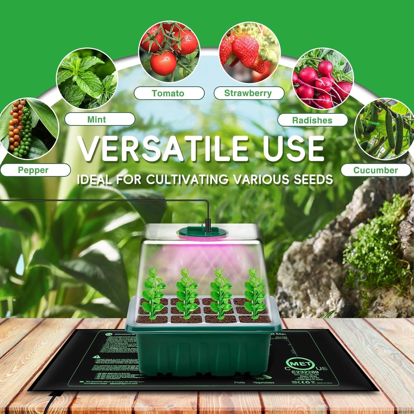 YAUNGEL Seed Starter Tray with Grow Light, 5 Pack Seed Starter Kit wit