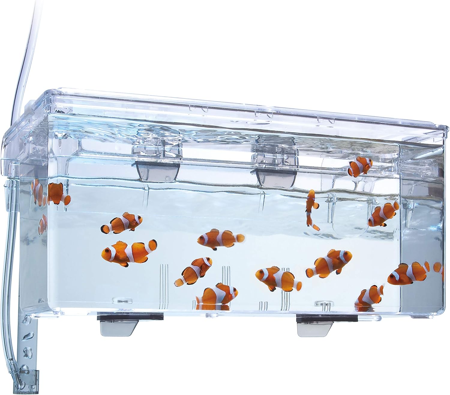 Fluval Multi-Chamber Holding and Breeding Box, Large – Up To 3 Separat